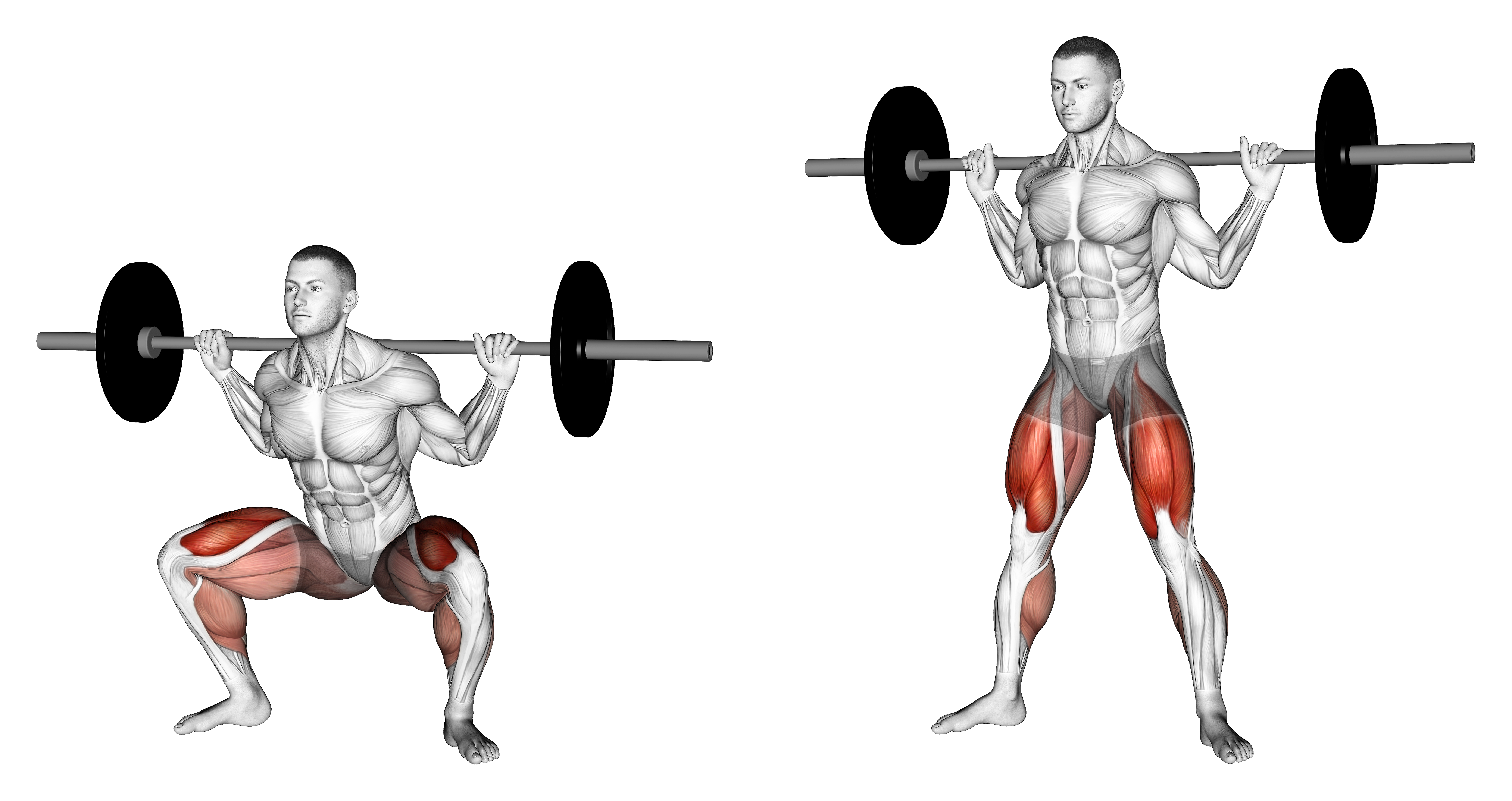 Barbell Sumo Squat