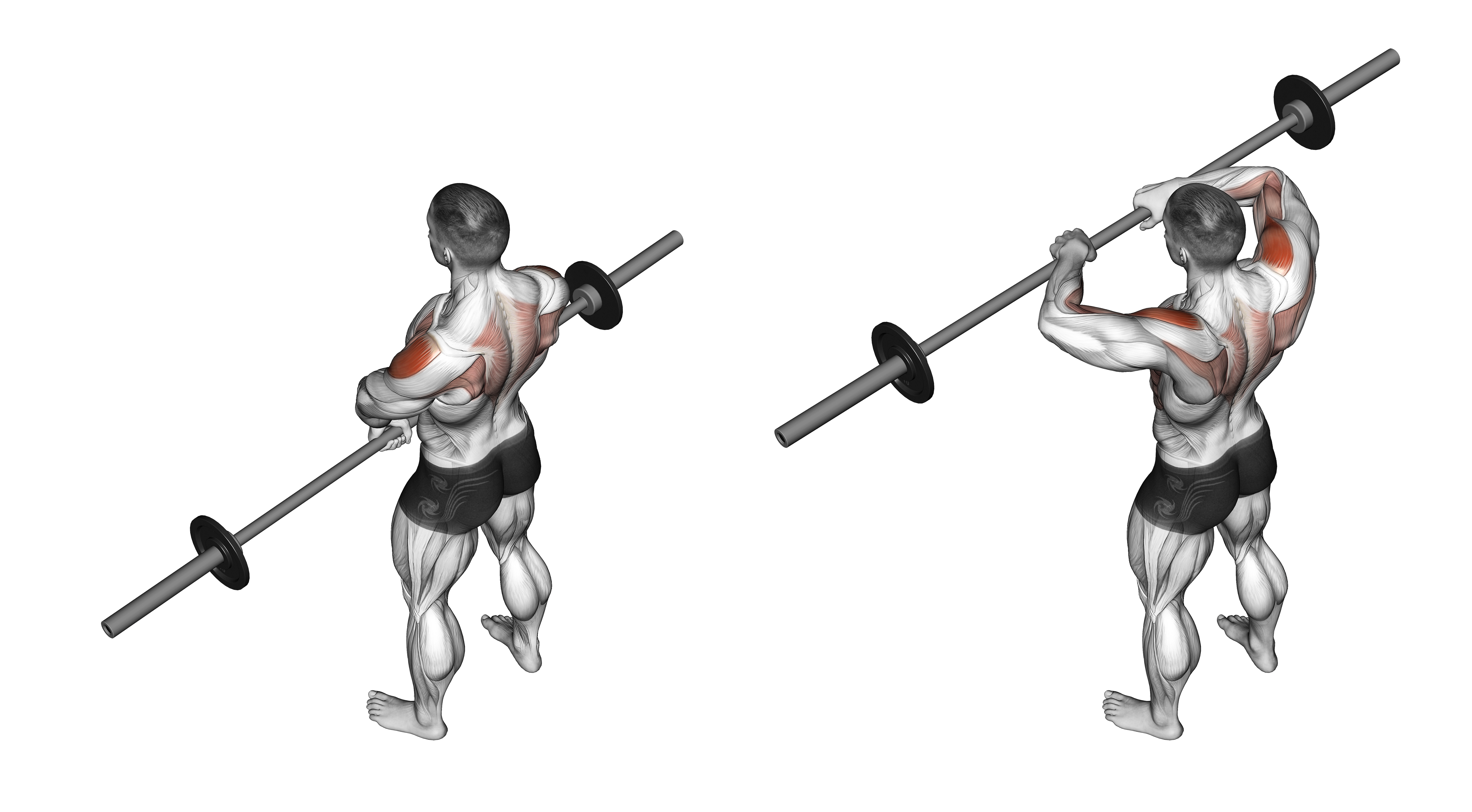 Barbell Upright Row Ii