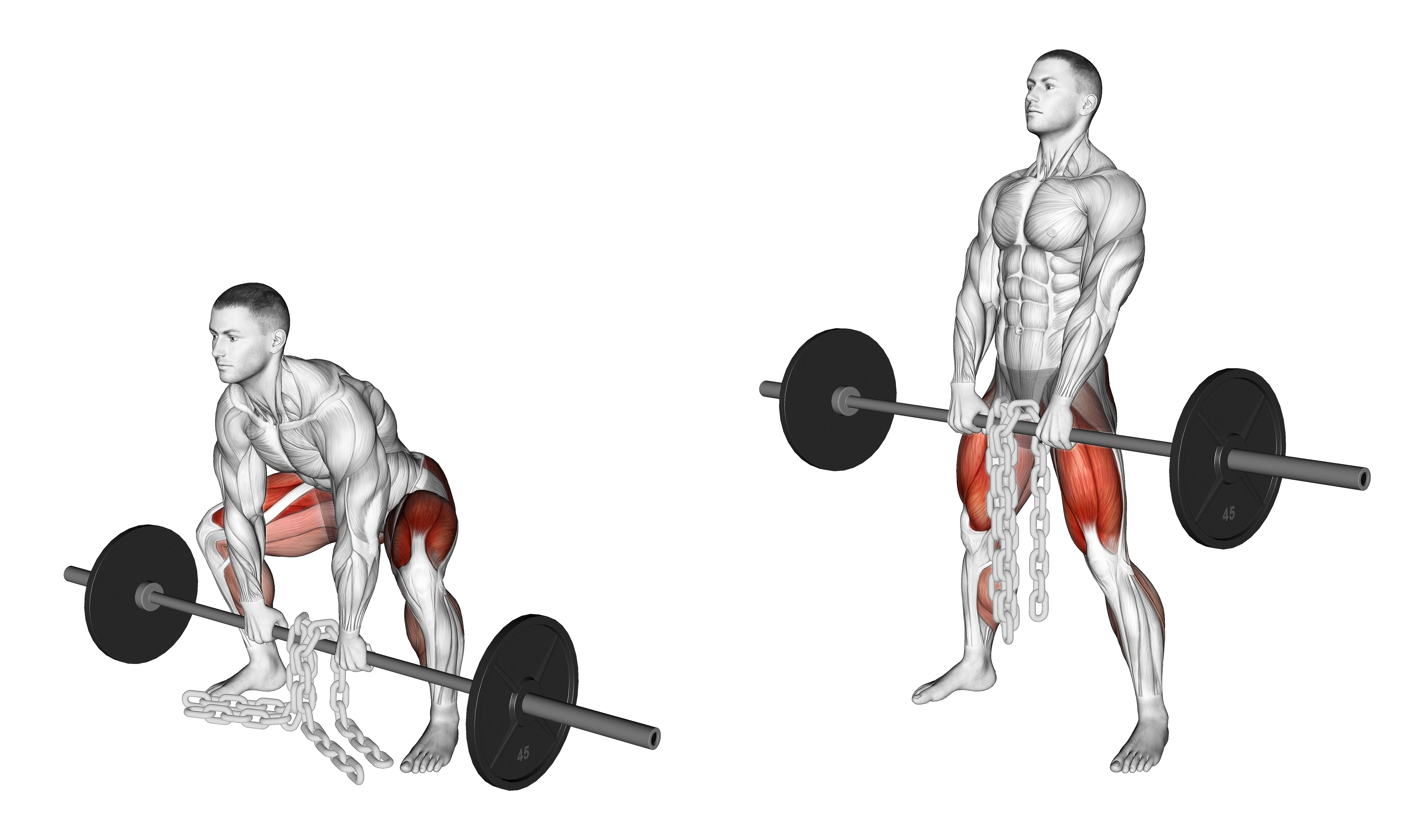 Barbell Weighted Chains Sumo Deadlift