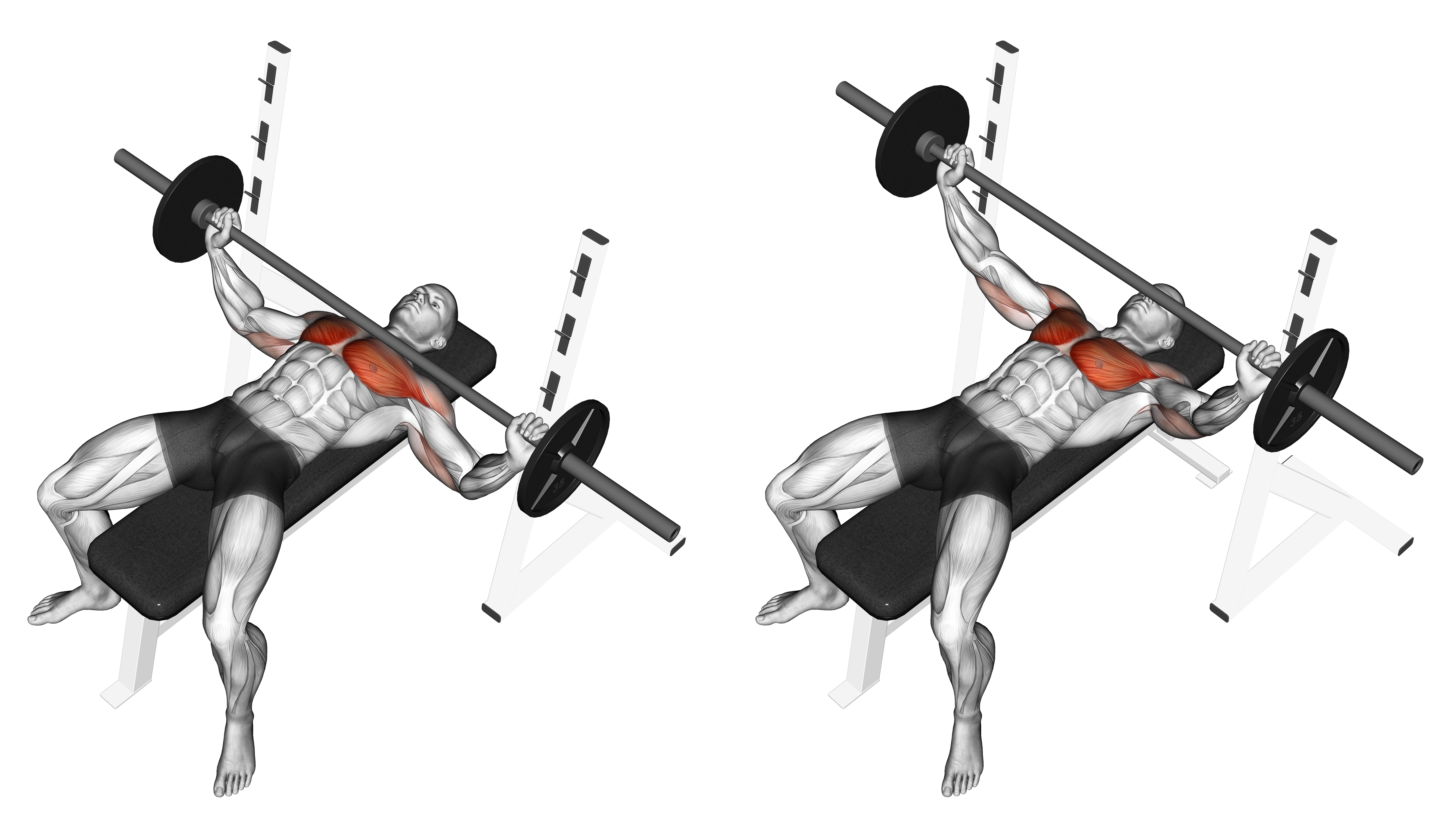 Barbell Wide Bench Press