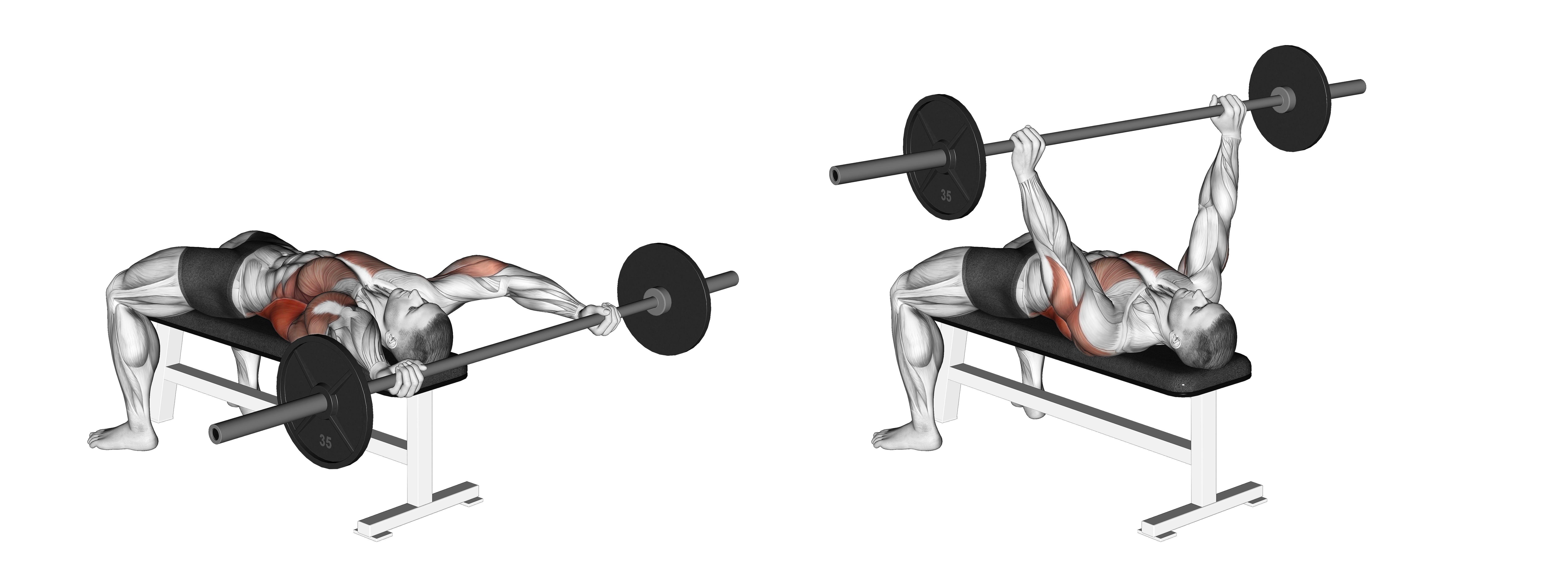 Barbell Wide Pullover
