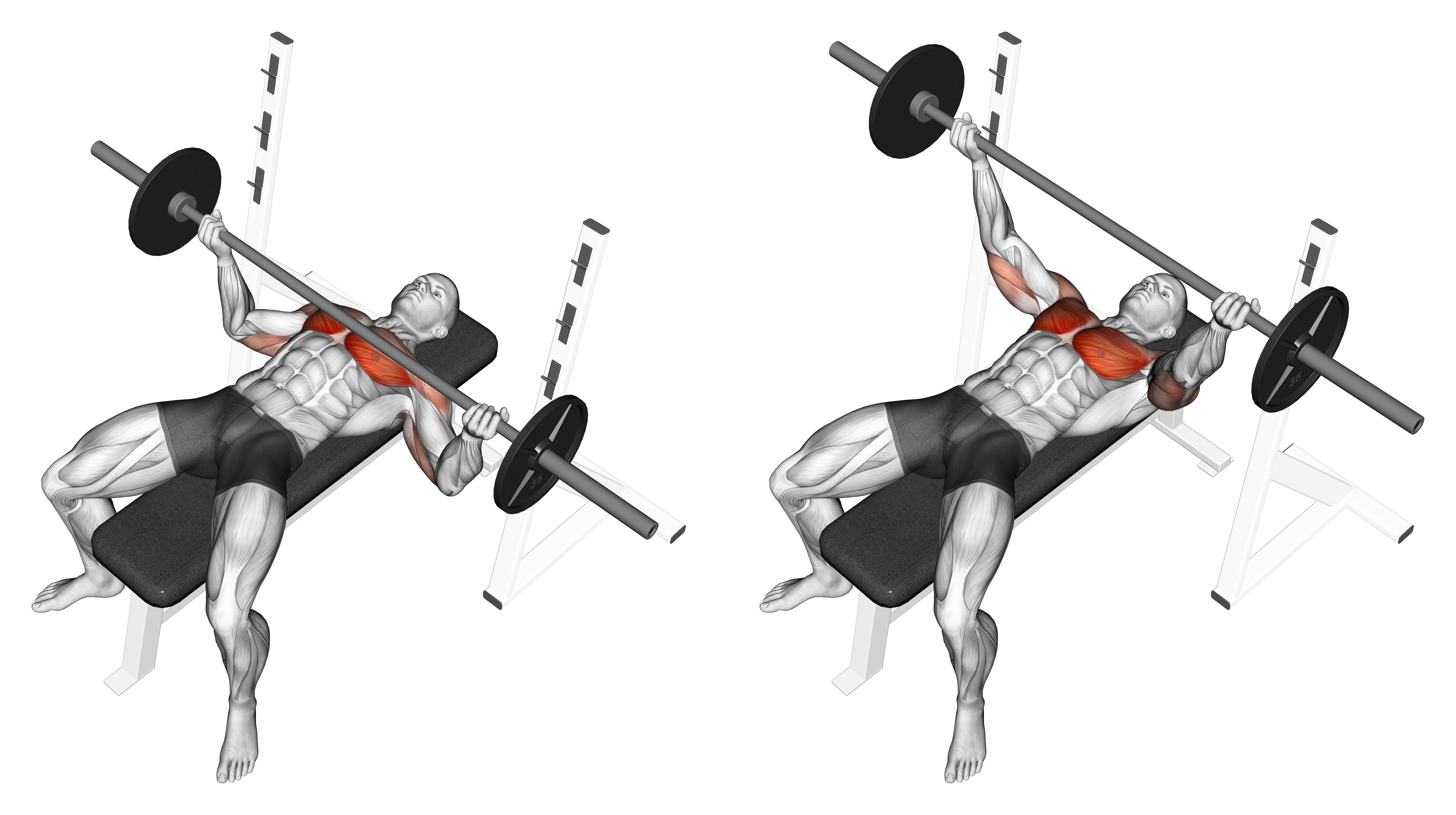 Barbell Wide Reverse Grip Bench Press