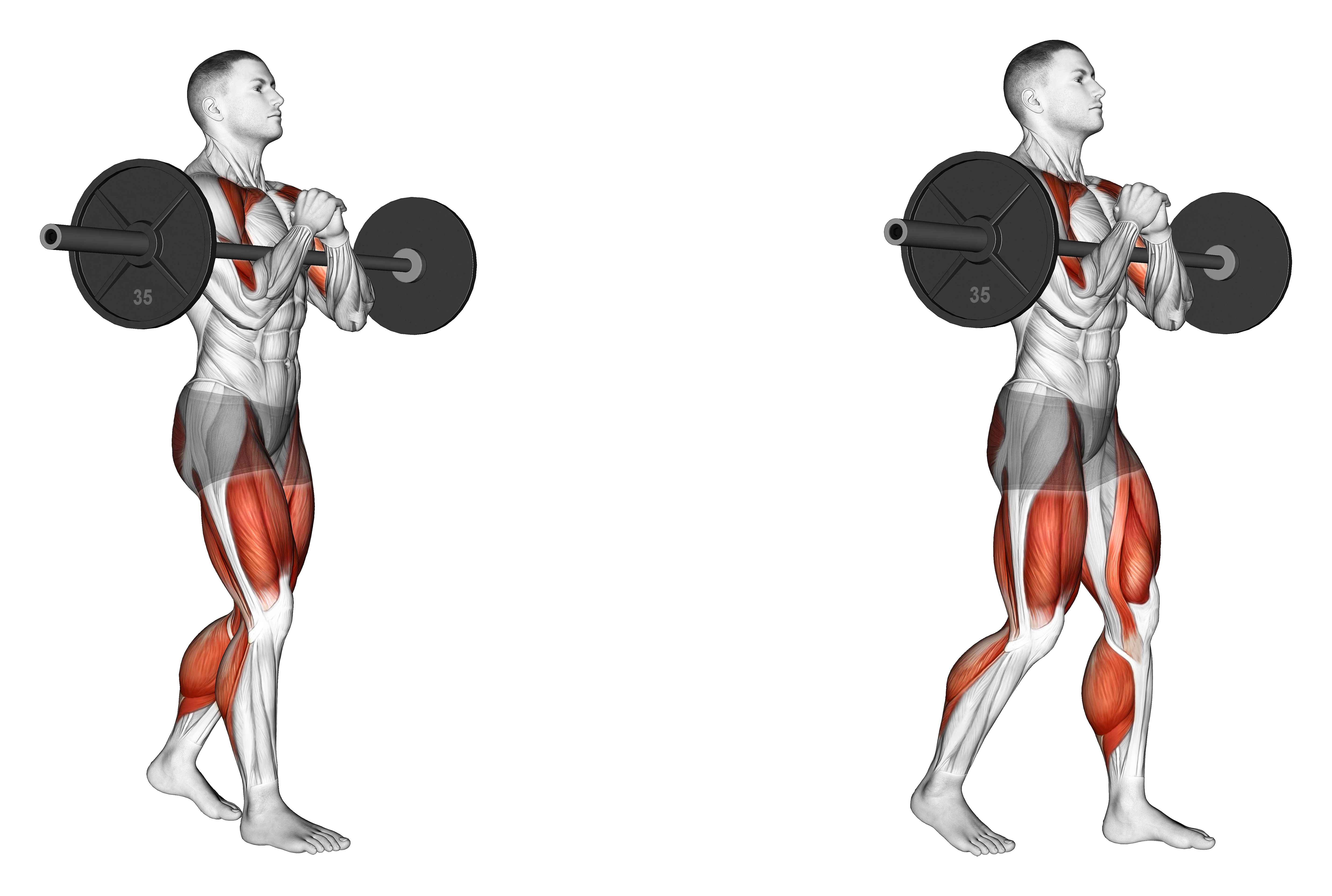Barbell Zercher Carry