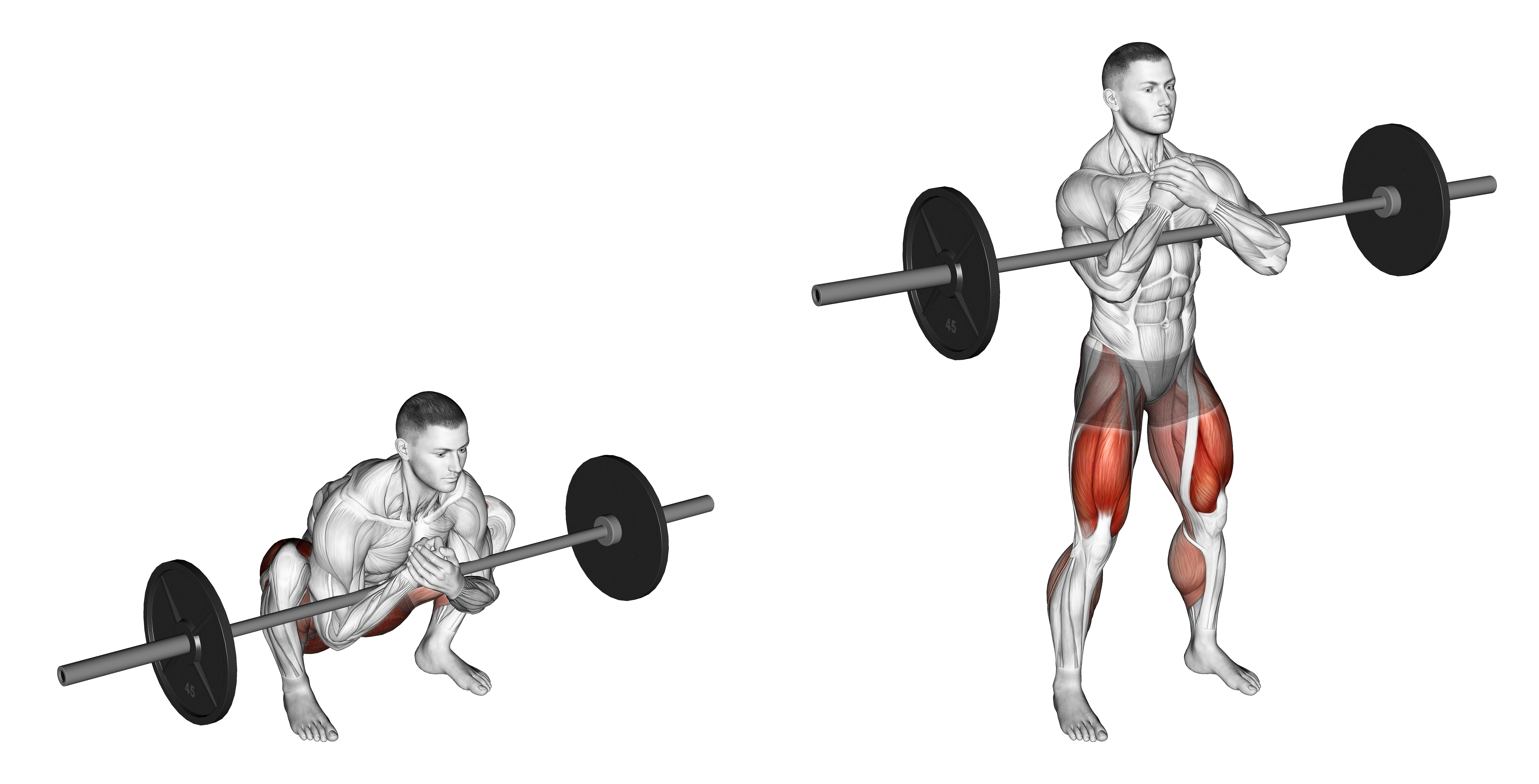 Barbell Zercher Deadlift