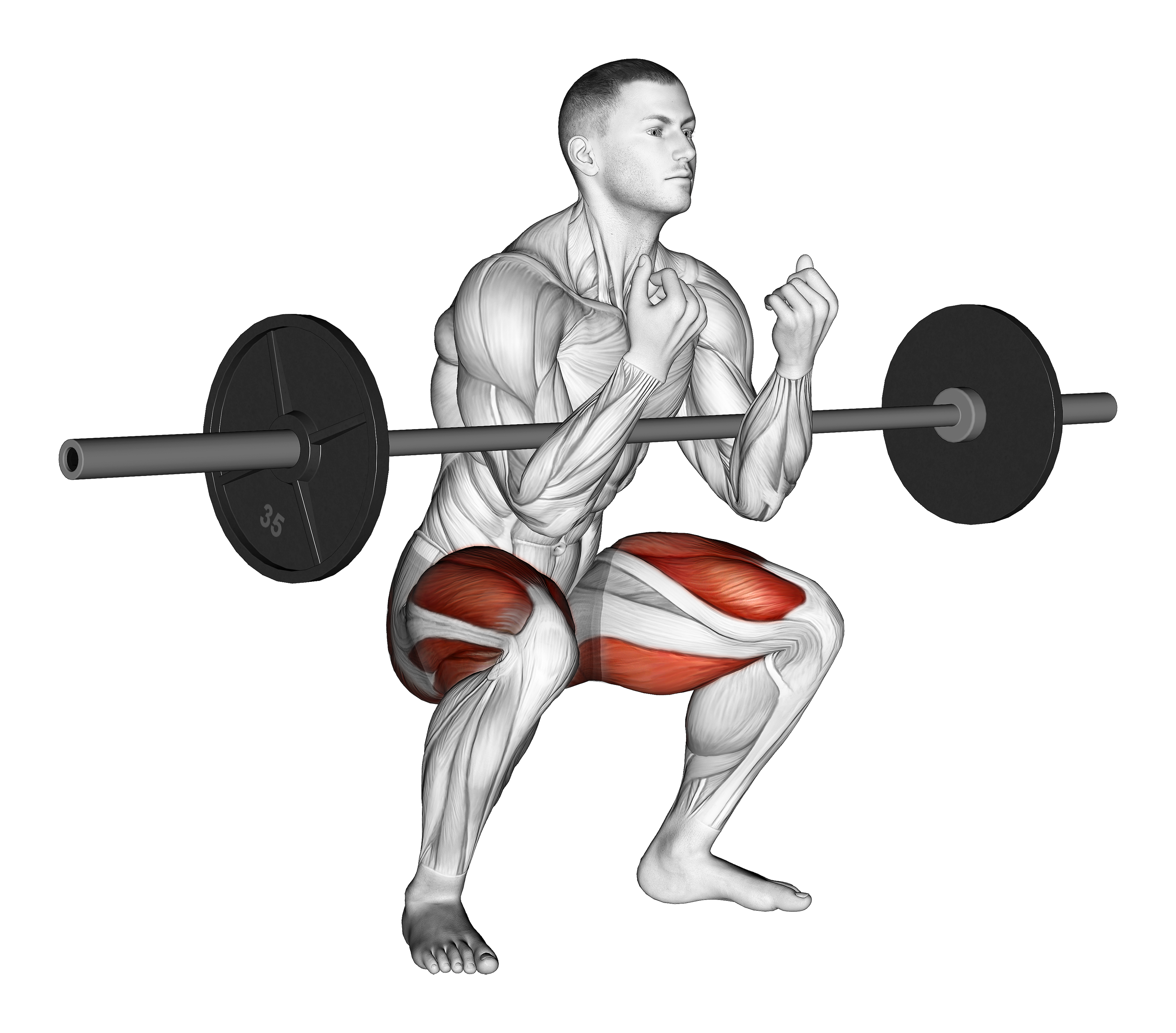 Barbell Zercher Squat Hold