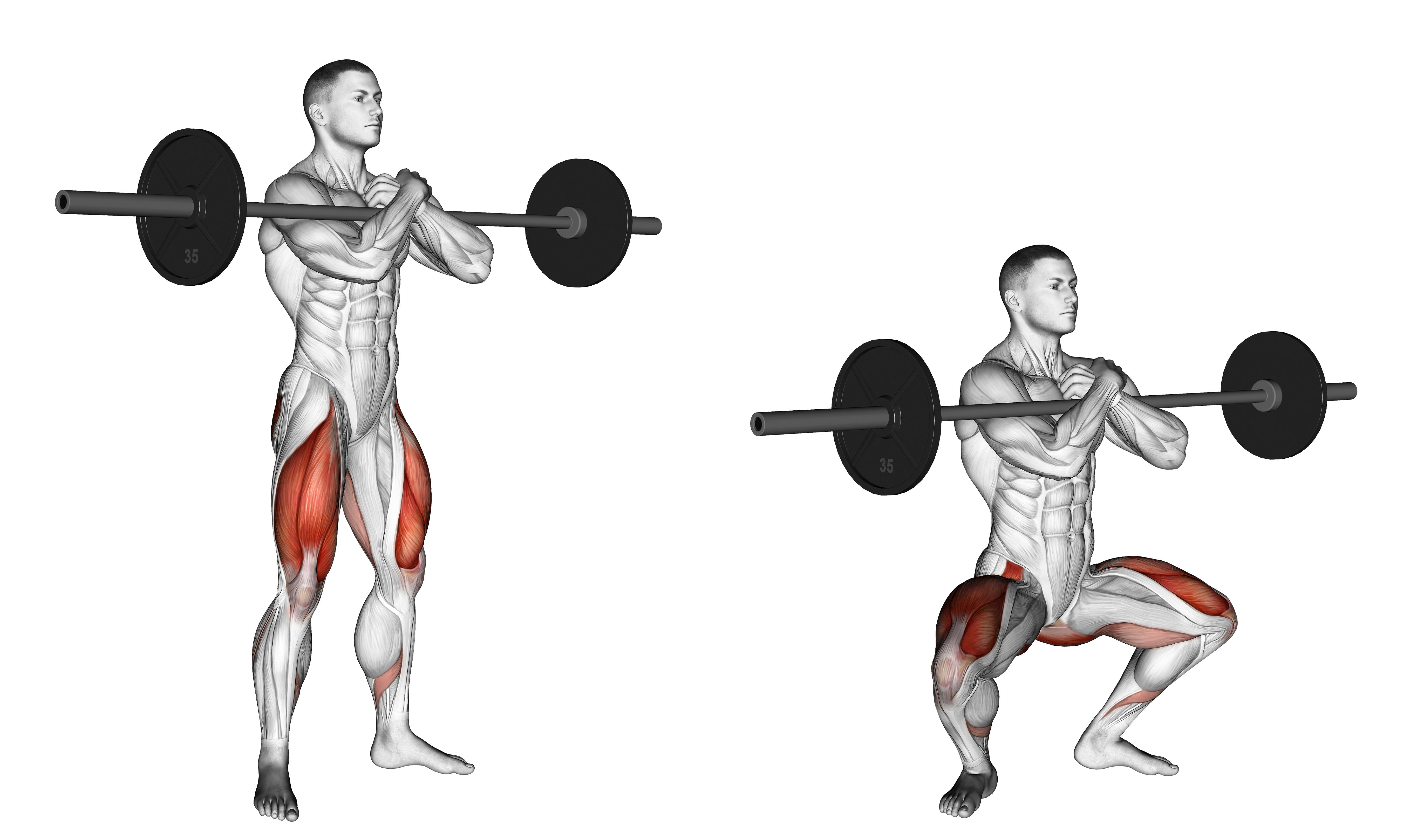 Barbell Zercher Squat