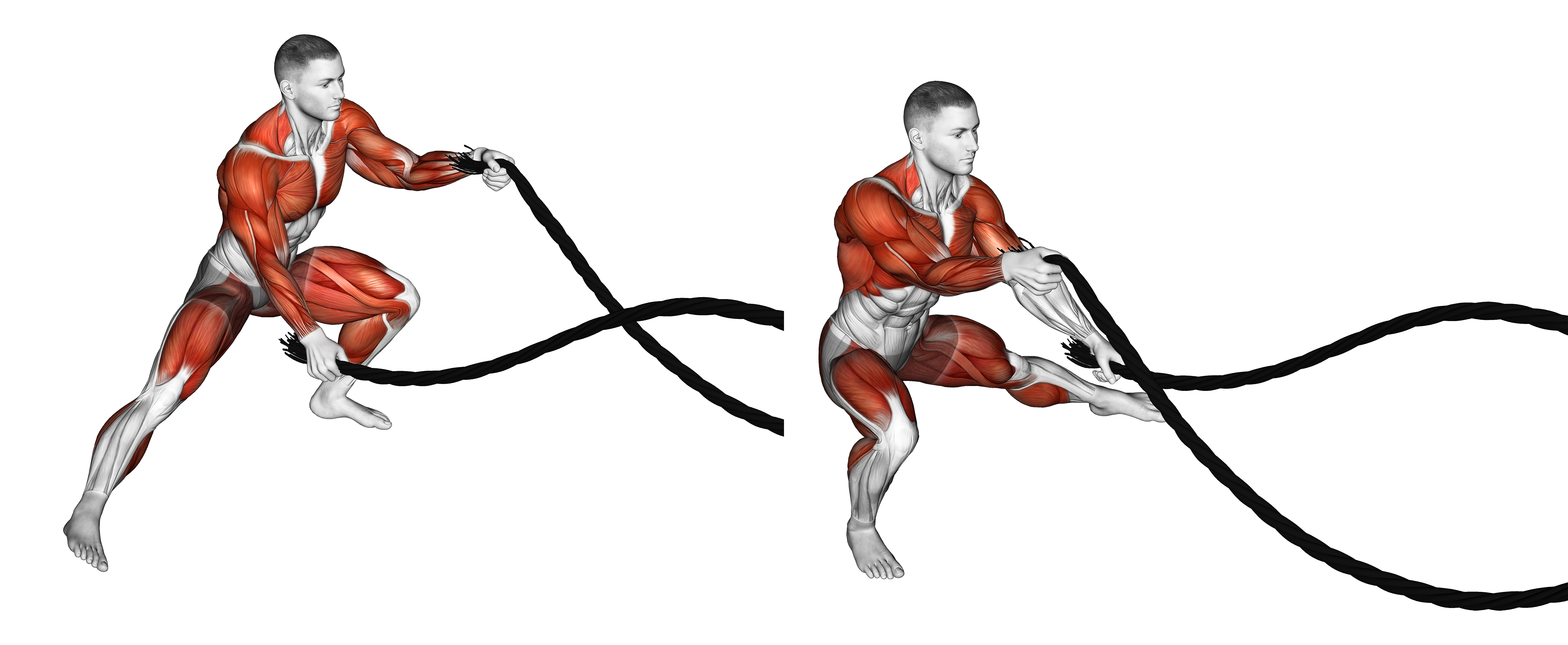 Battling Ropes Alternate Arms Side Lunge