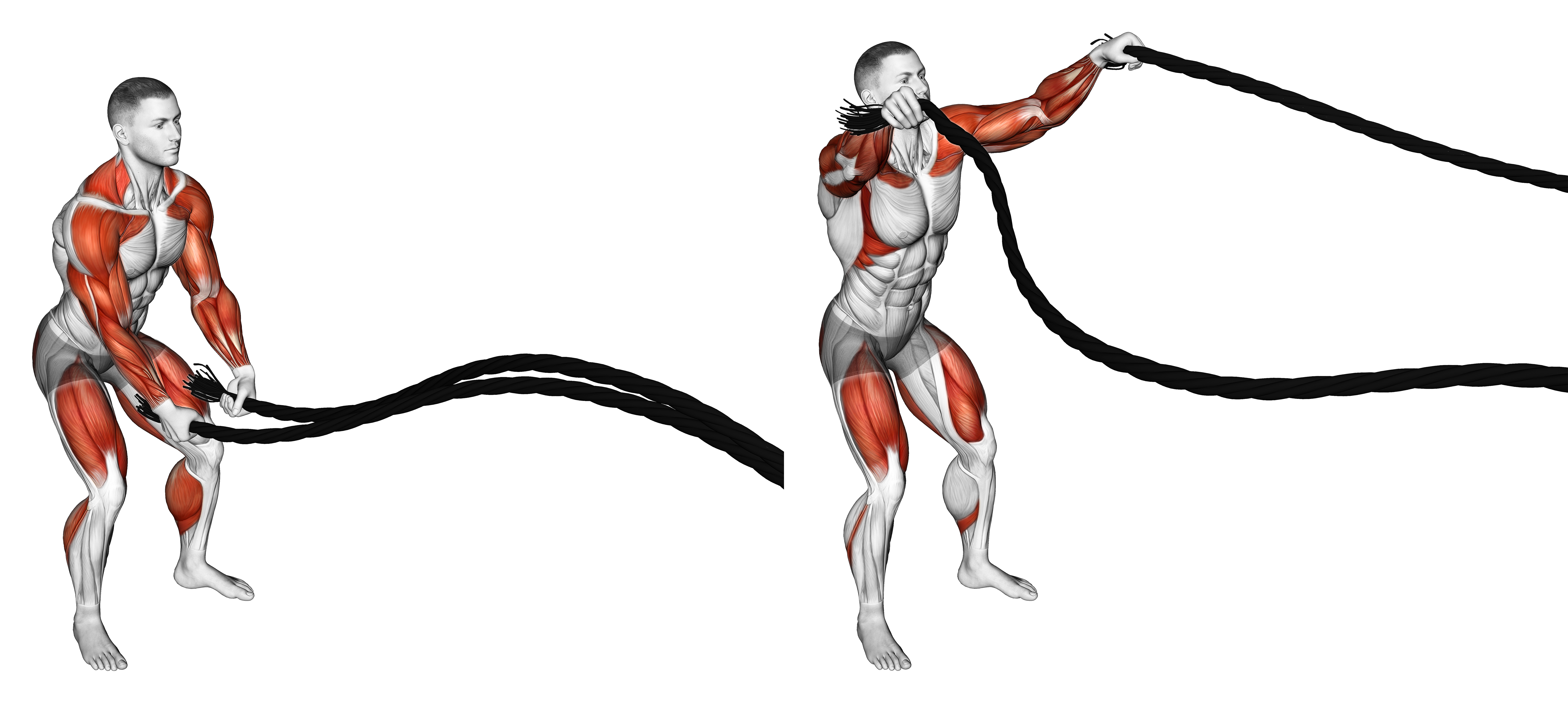 Battling Ropes Inside Circle