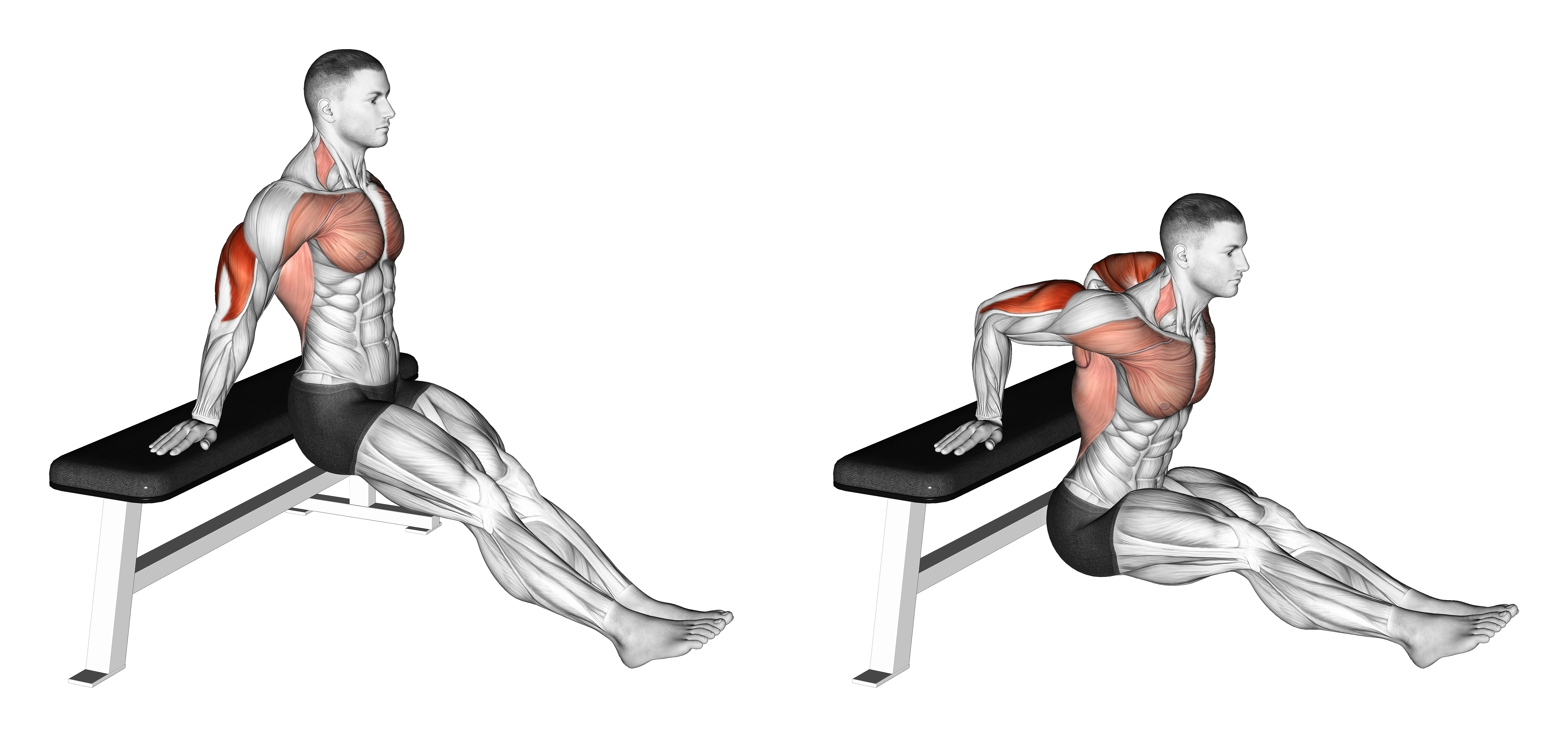 Bench Dip On Floor (version 2)