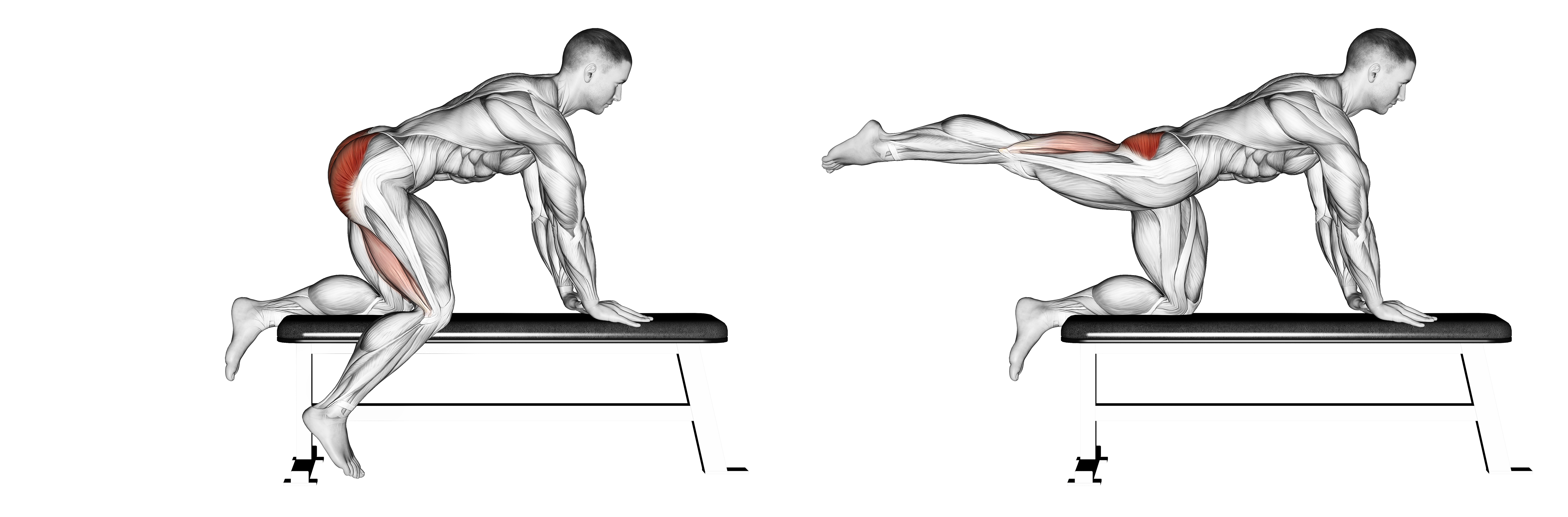 Bench Hip Extension