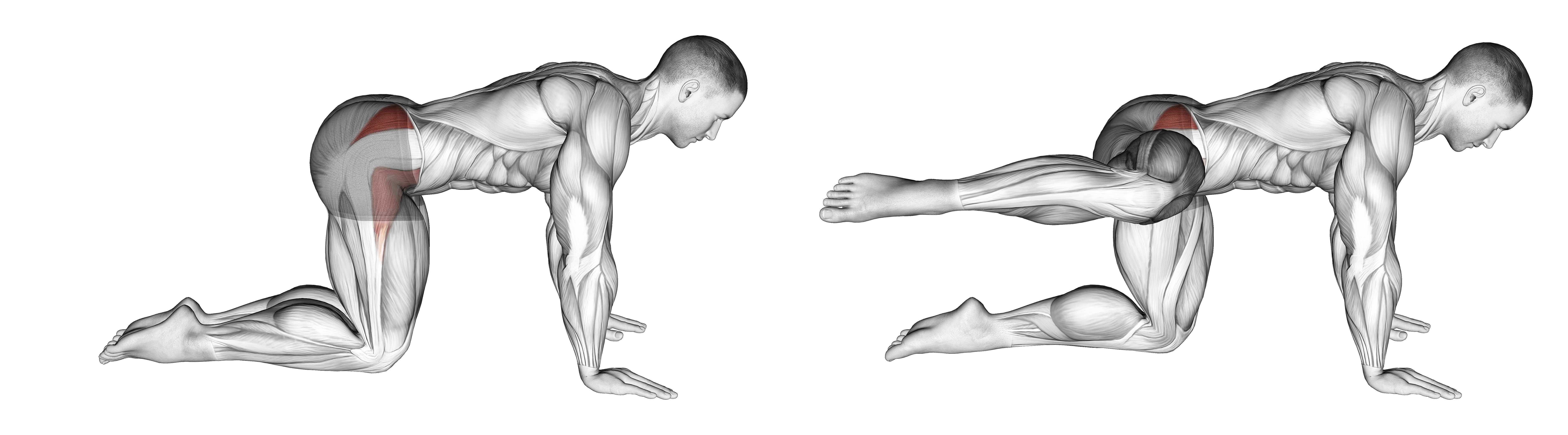 Bent Leg Side Kick (kneeling)