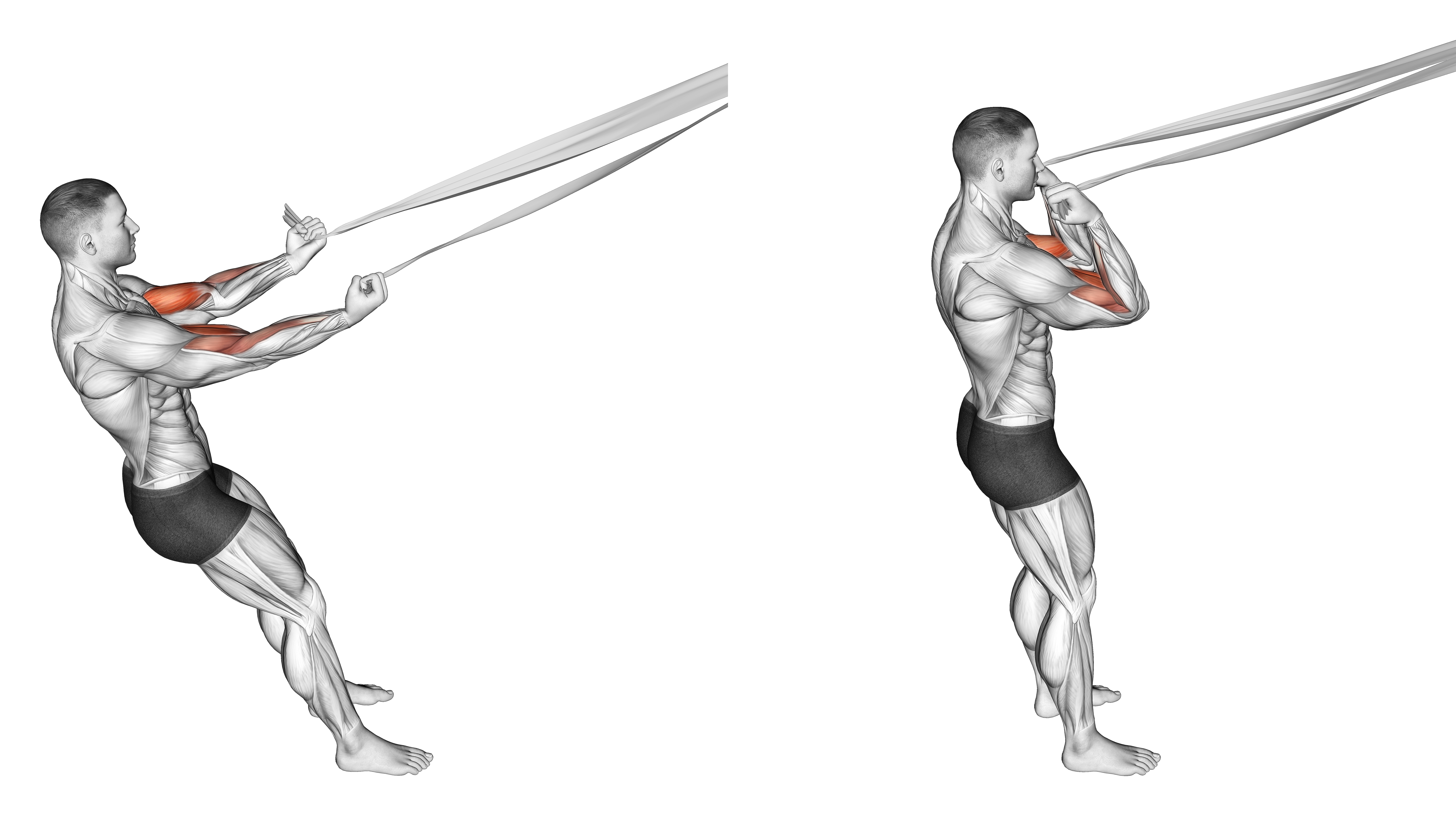 Biceps Curl With Bed Sheet