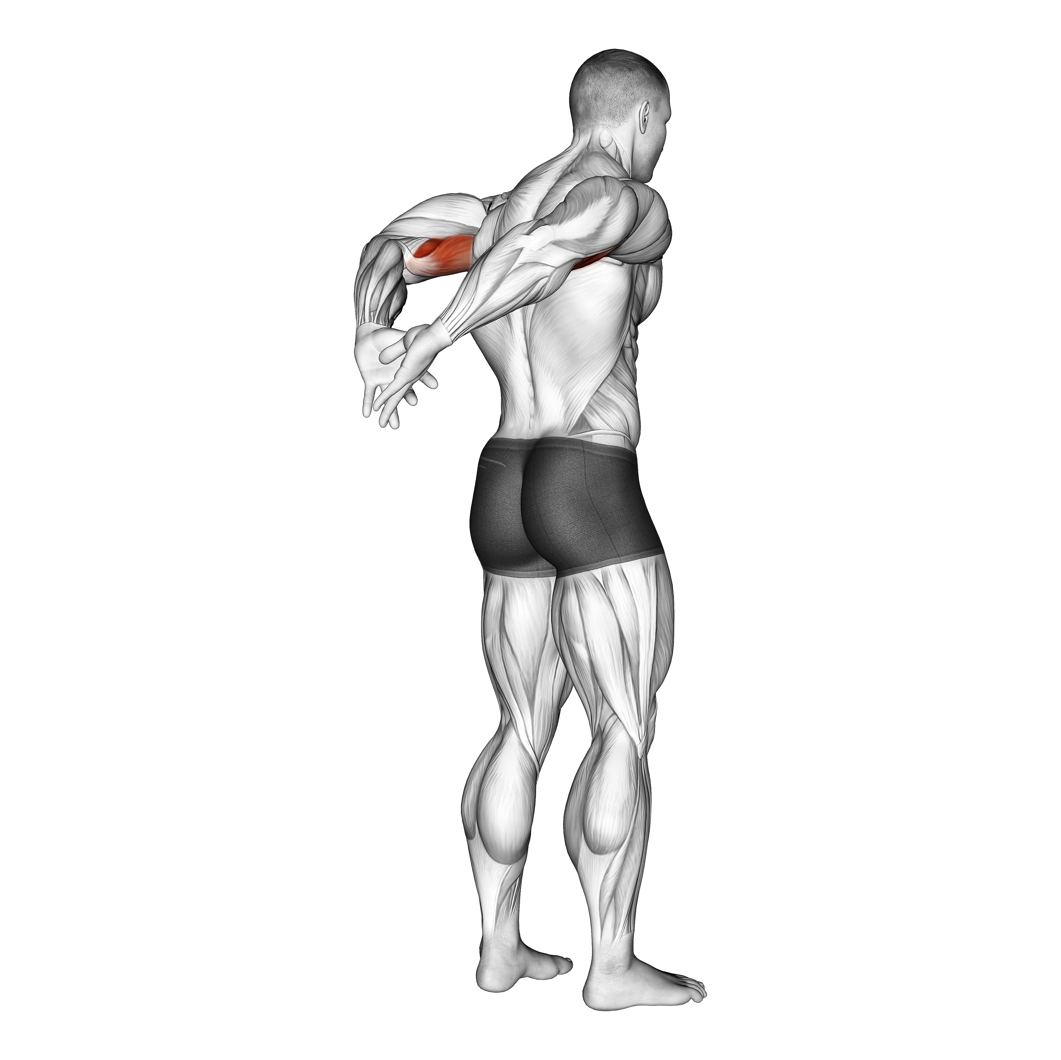 Biceps Stretch Behind The Back