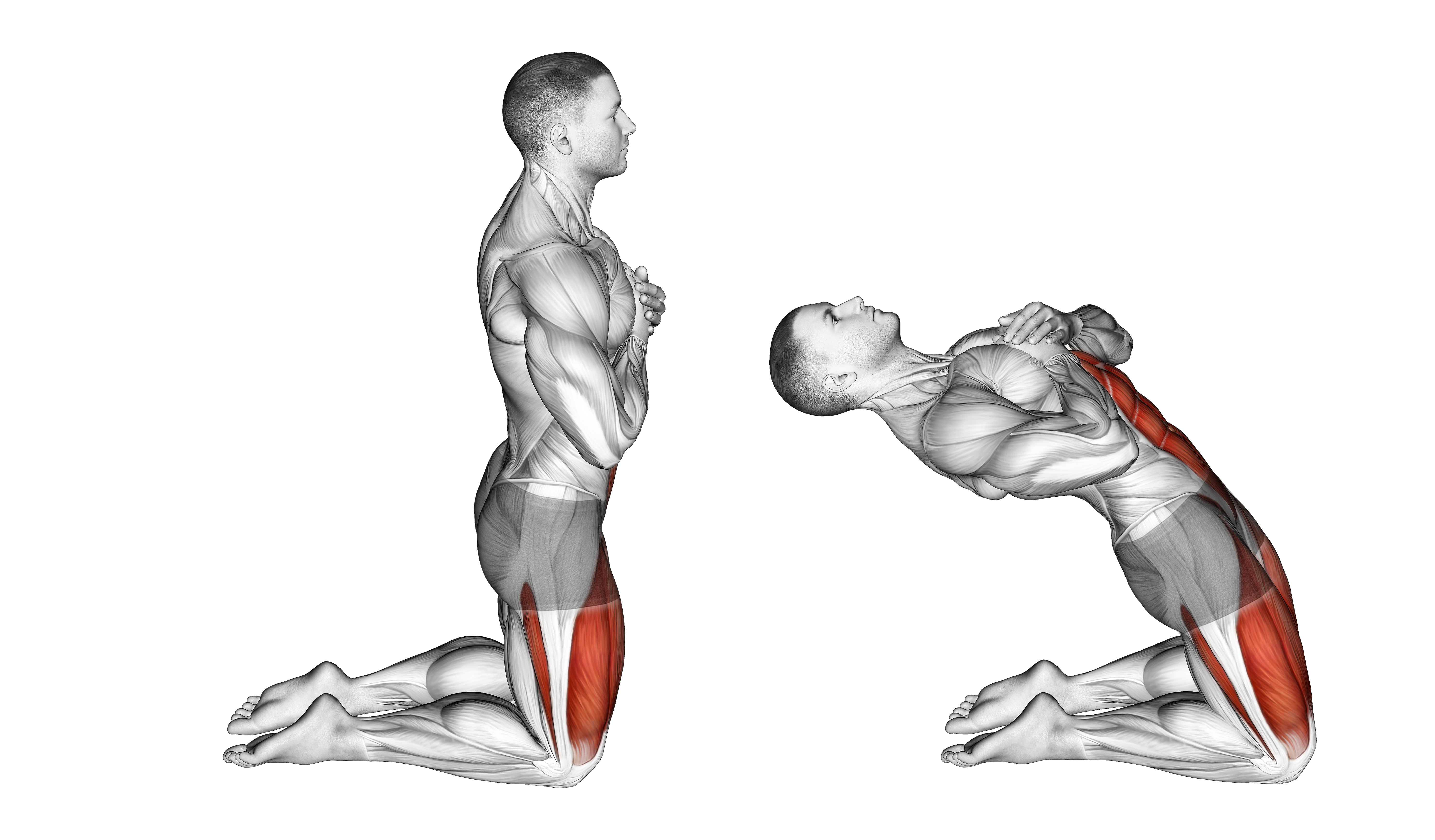 Body Extension