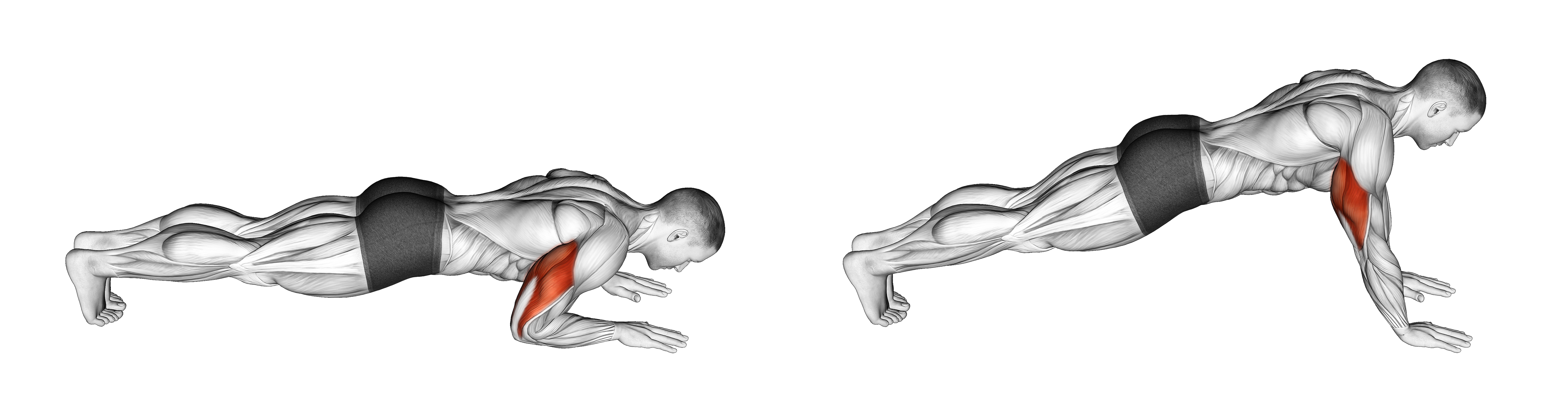 Body Up