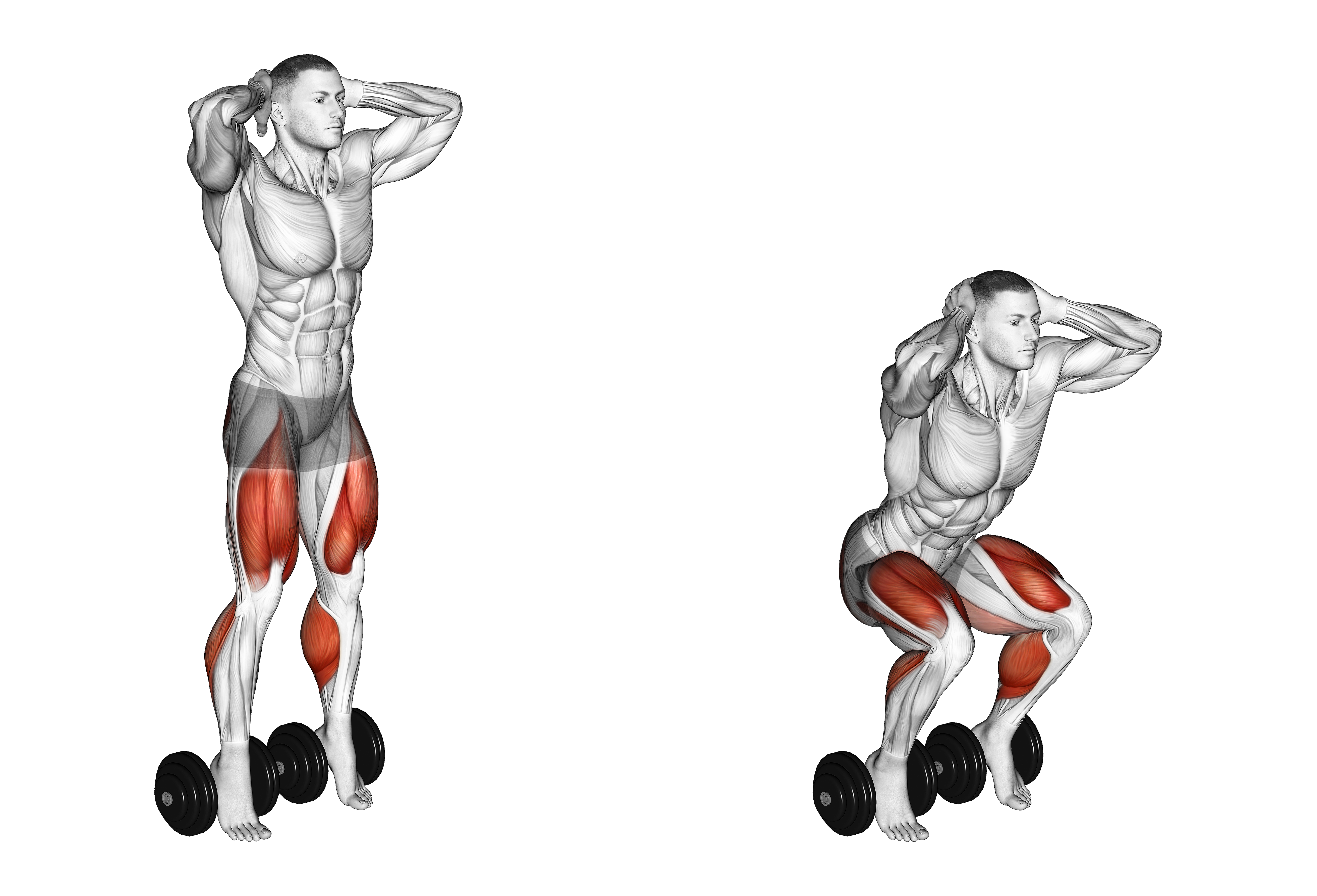 Bodyweight Elevanted Heel Squat
