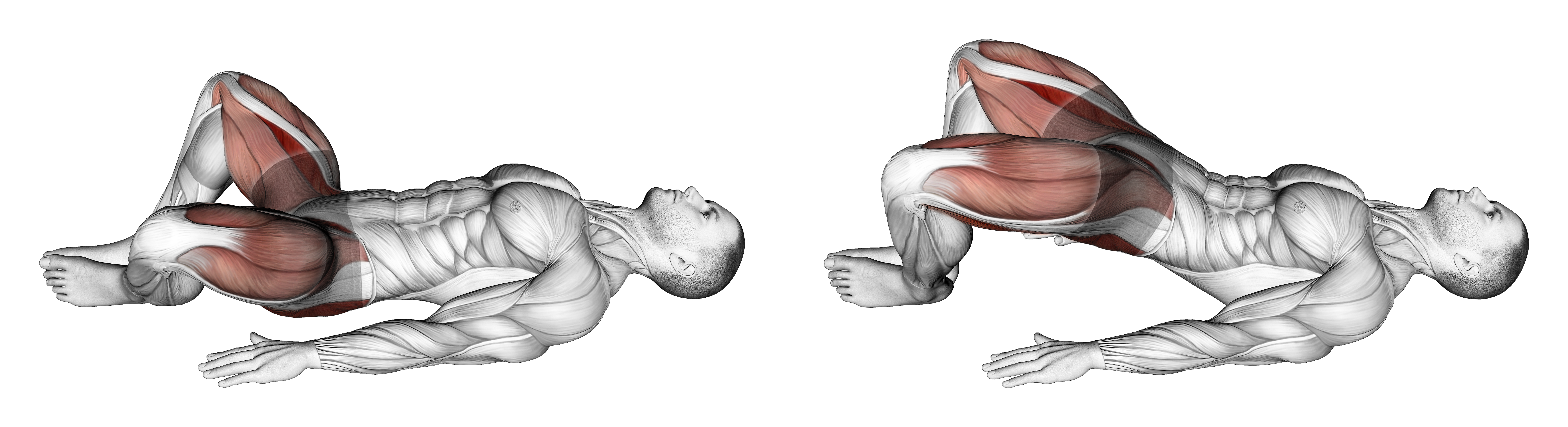 Bodyweight Frog Hip Thrust