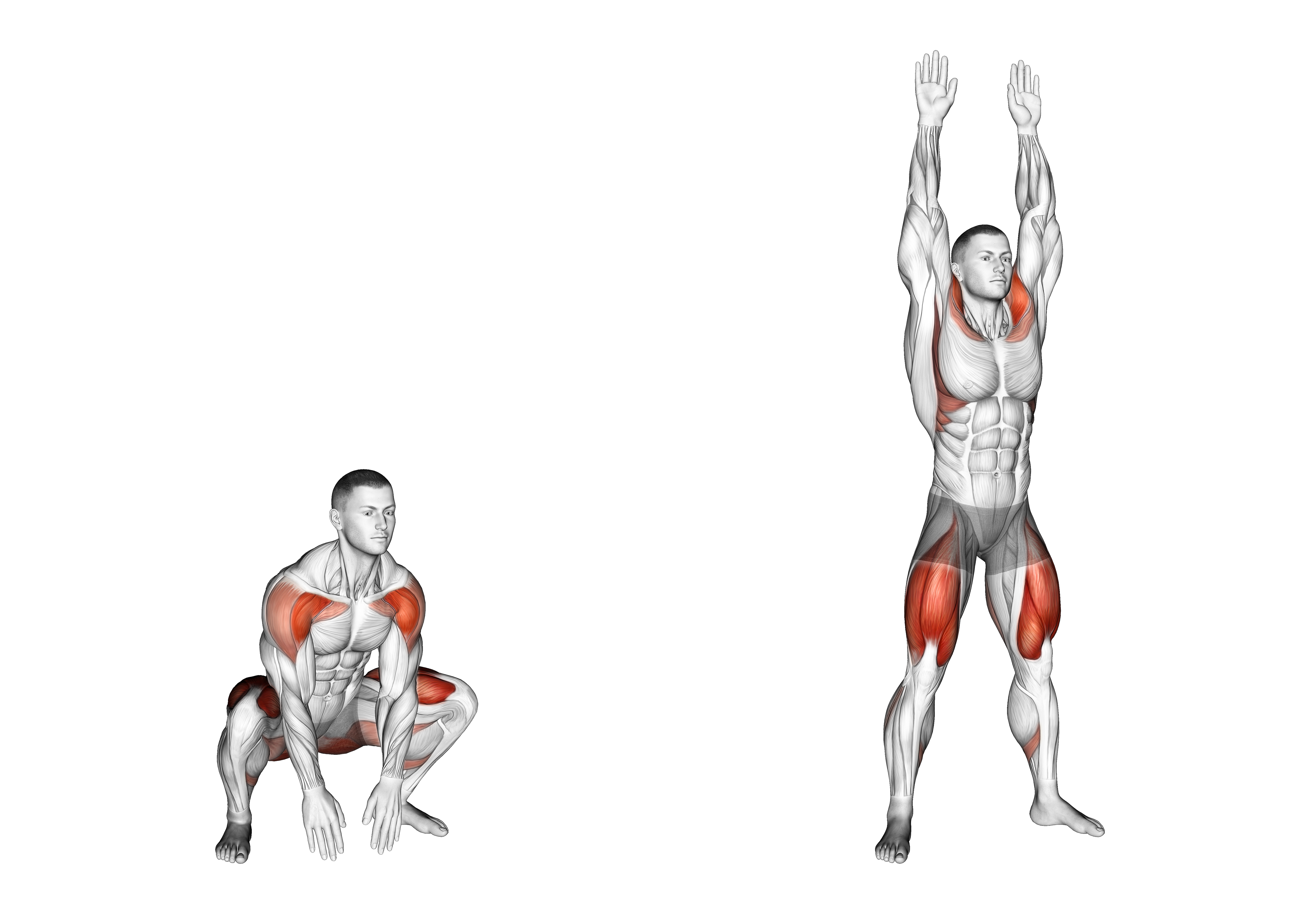 Bodyweight Full Squat With Overhead Press