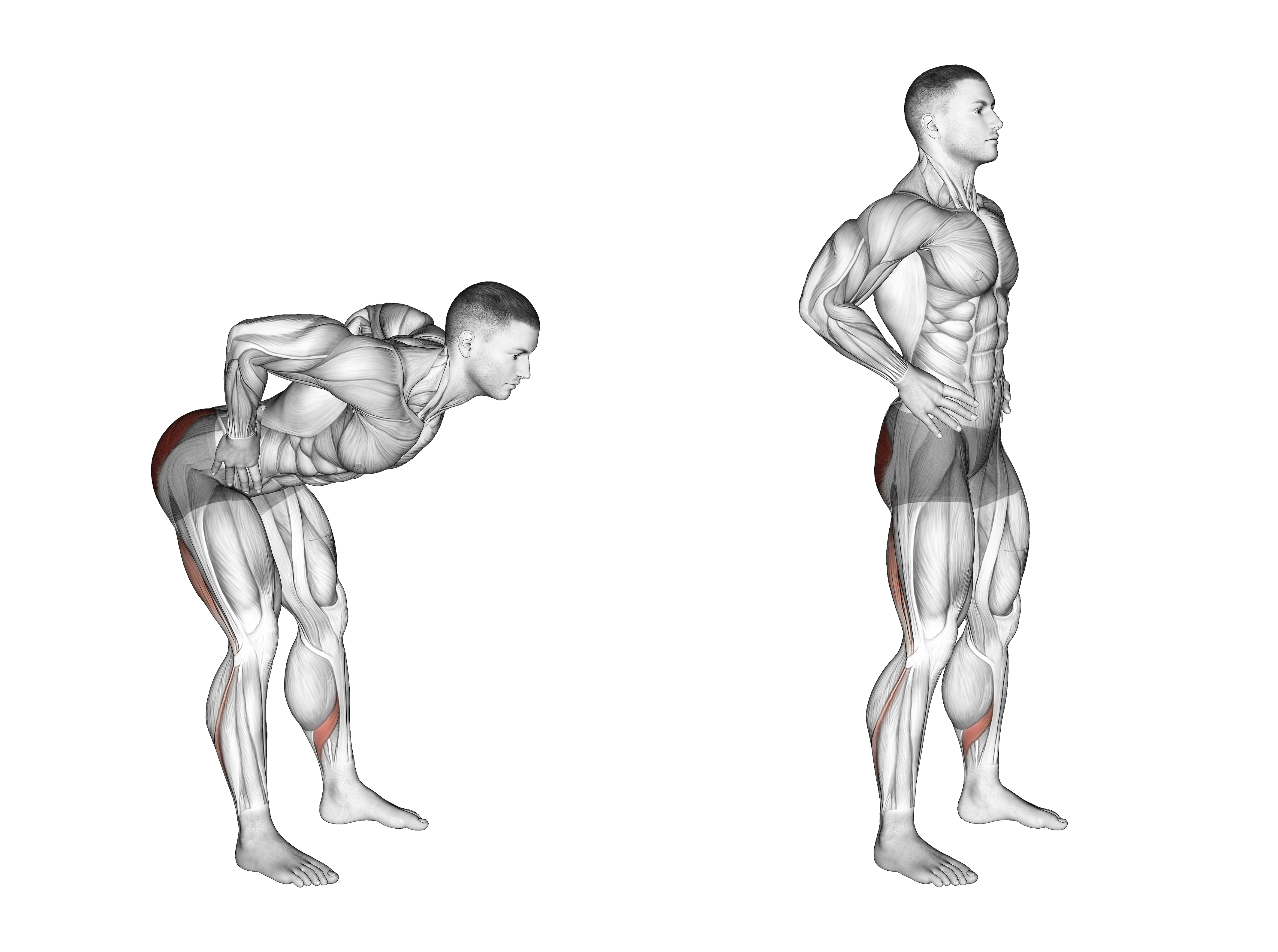 Bodyweight Good Morning