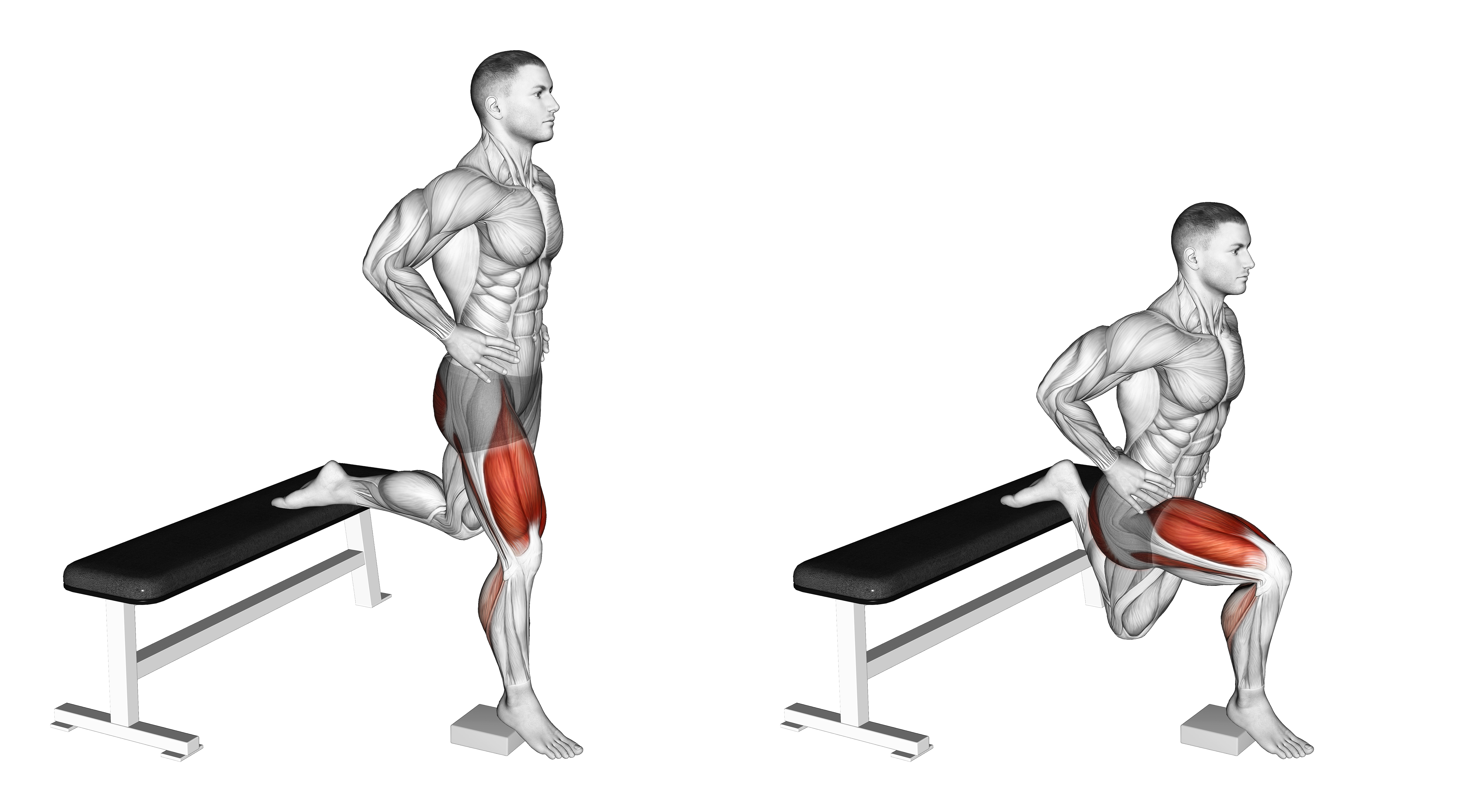 Bodyweight Heel Elevated Bulgarian Split Squat