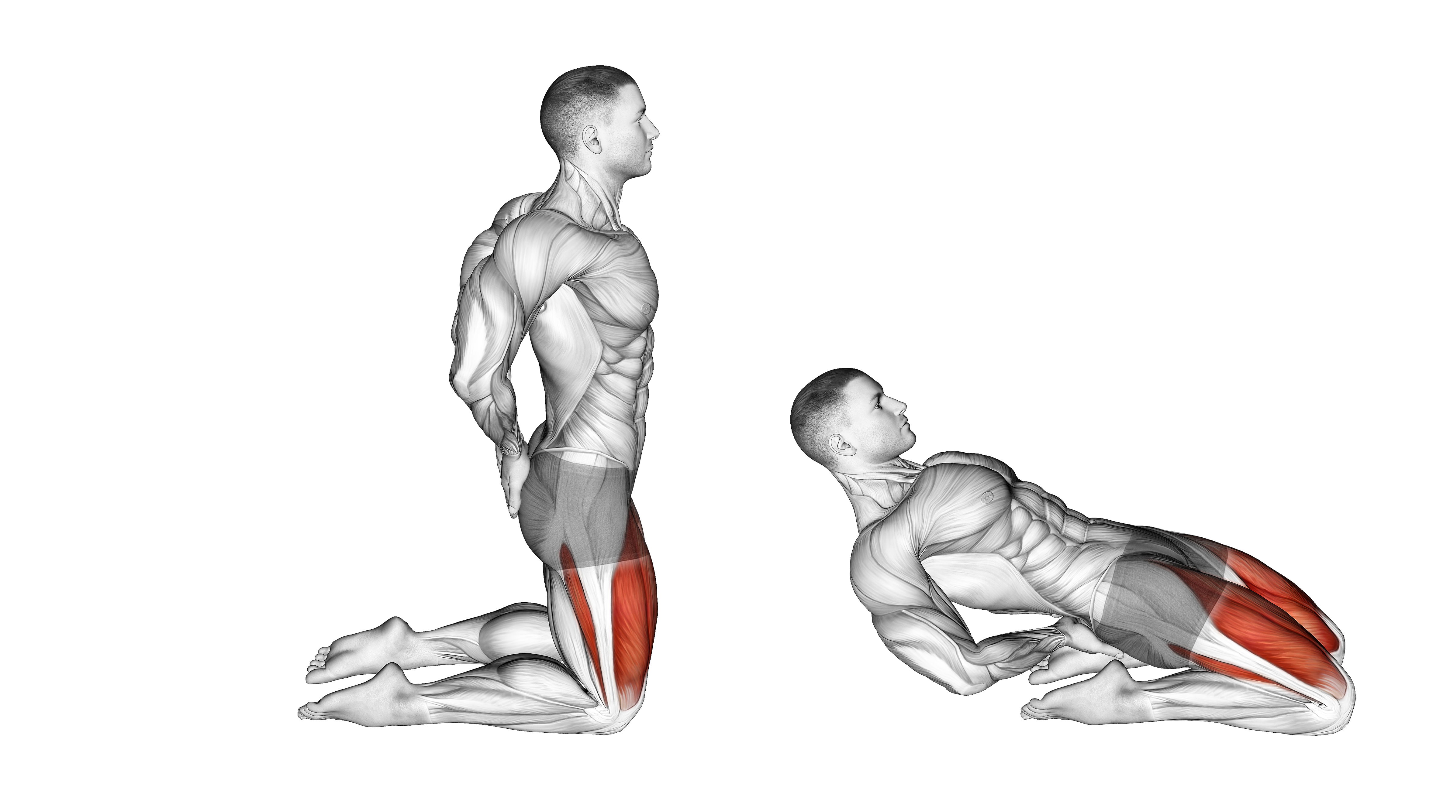 Bodyweight Kneeling Sissy Squat