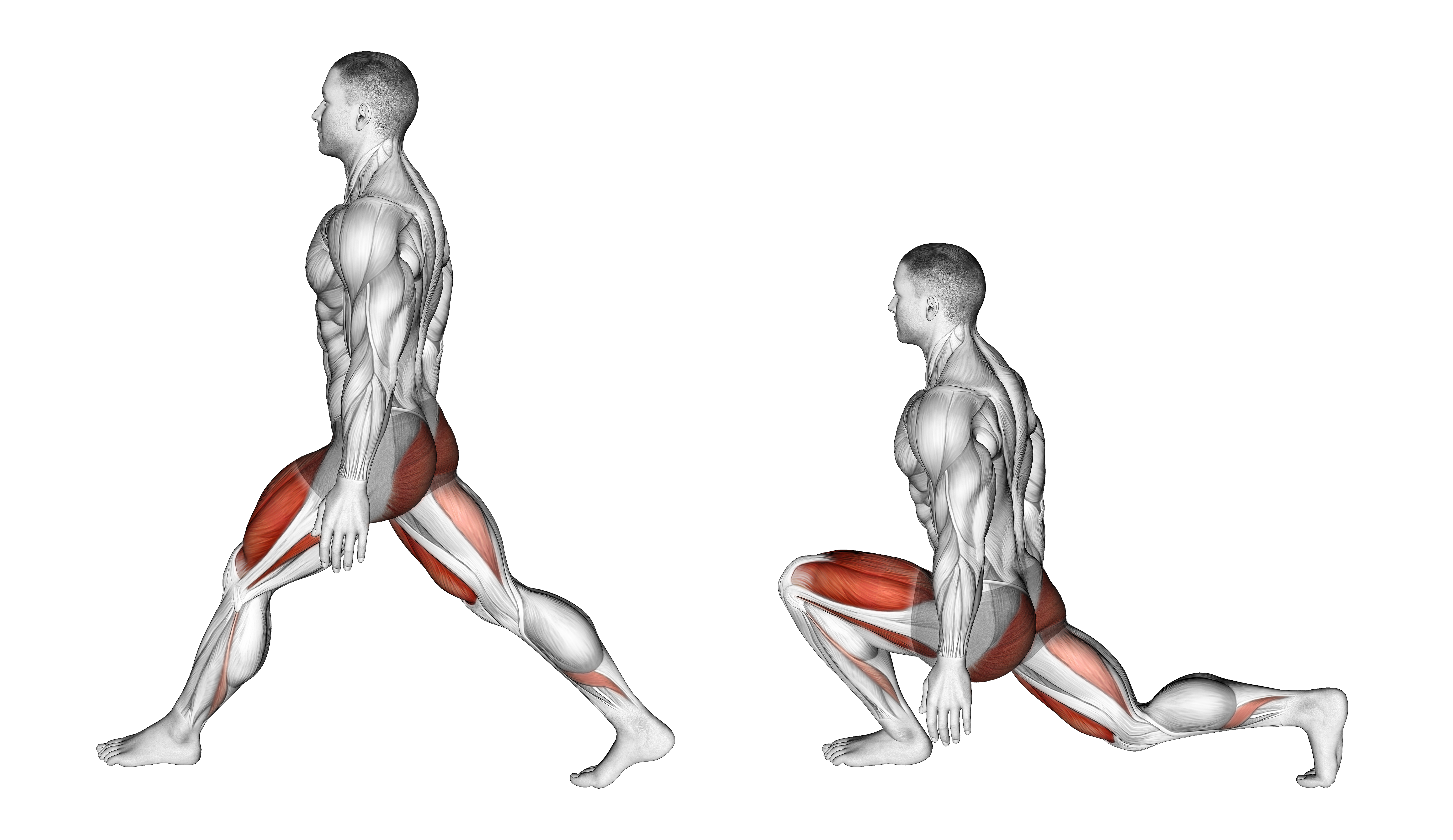 Bodyweight Low Split Squat