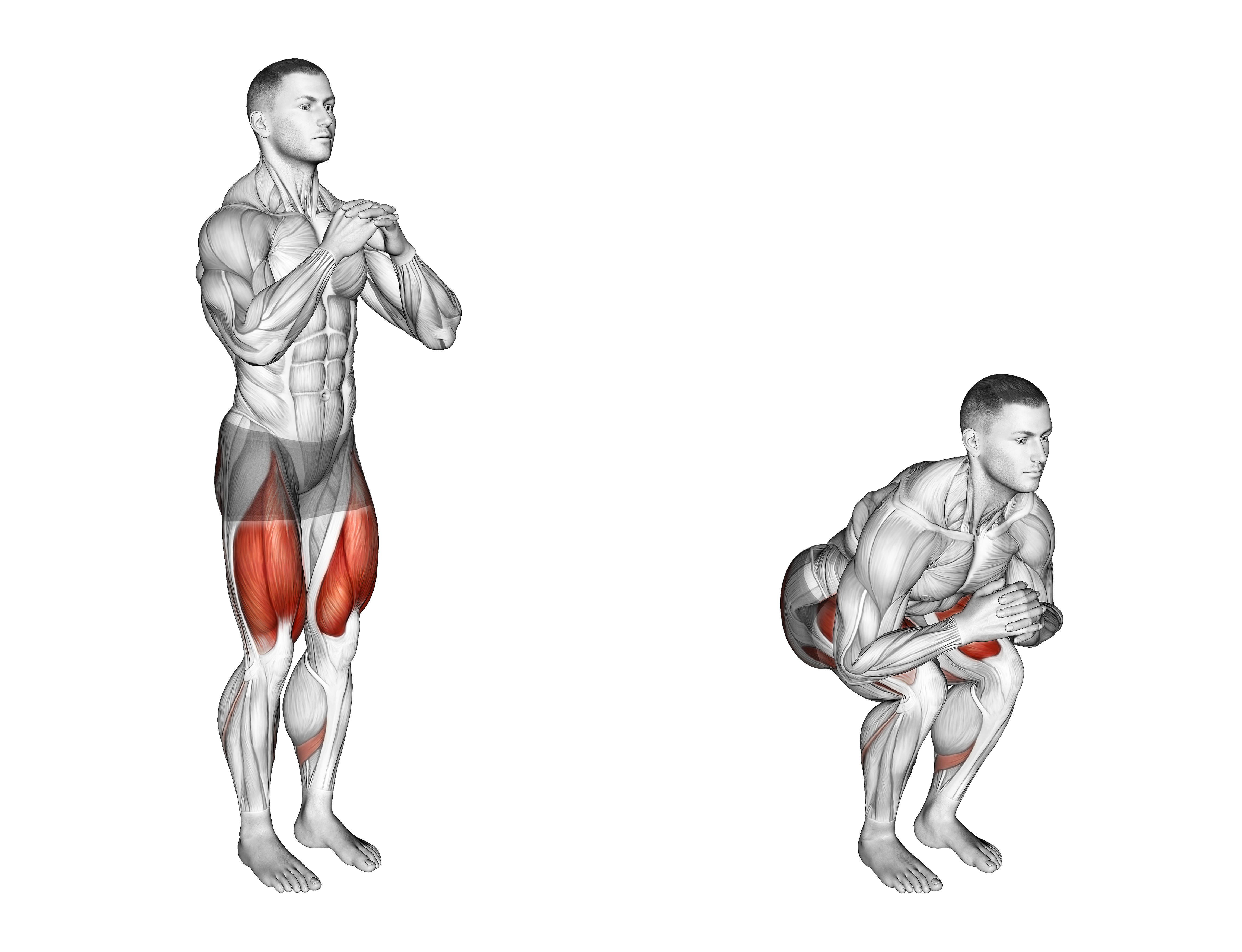 Bodyweight Narrow Stance Squat