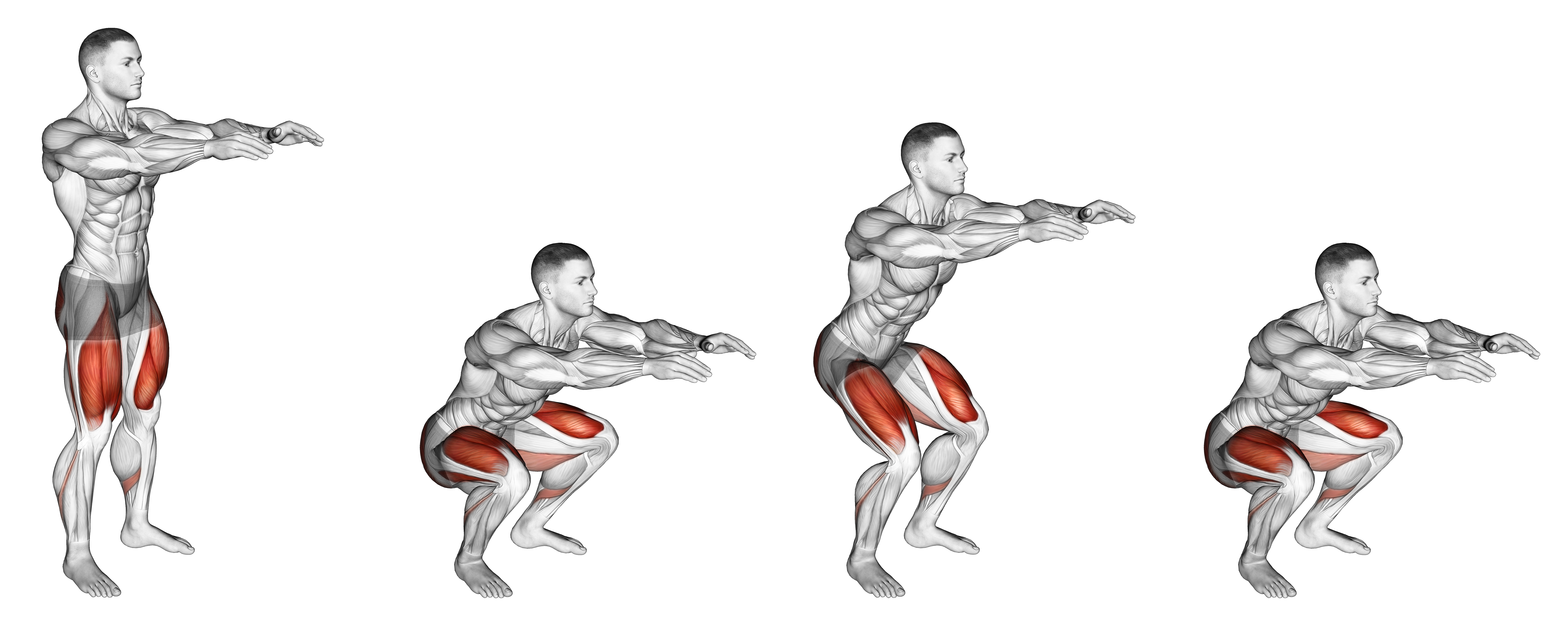 Bodyweight Pulse Squat