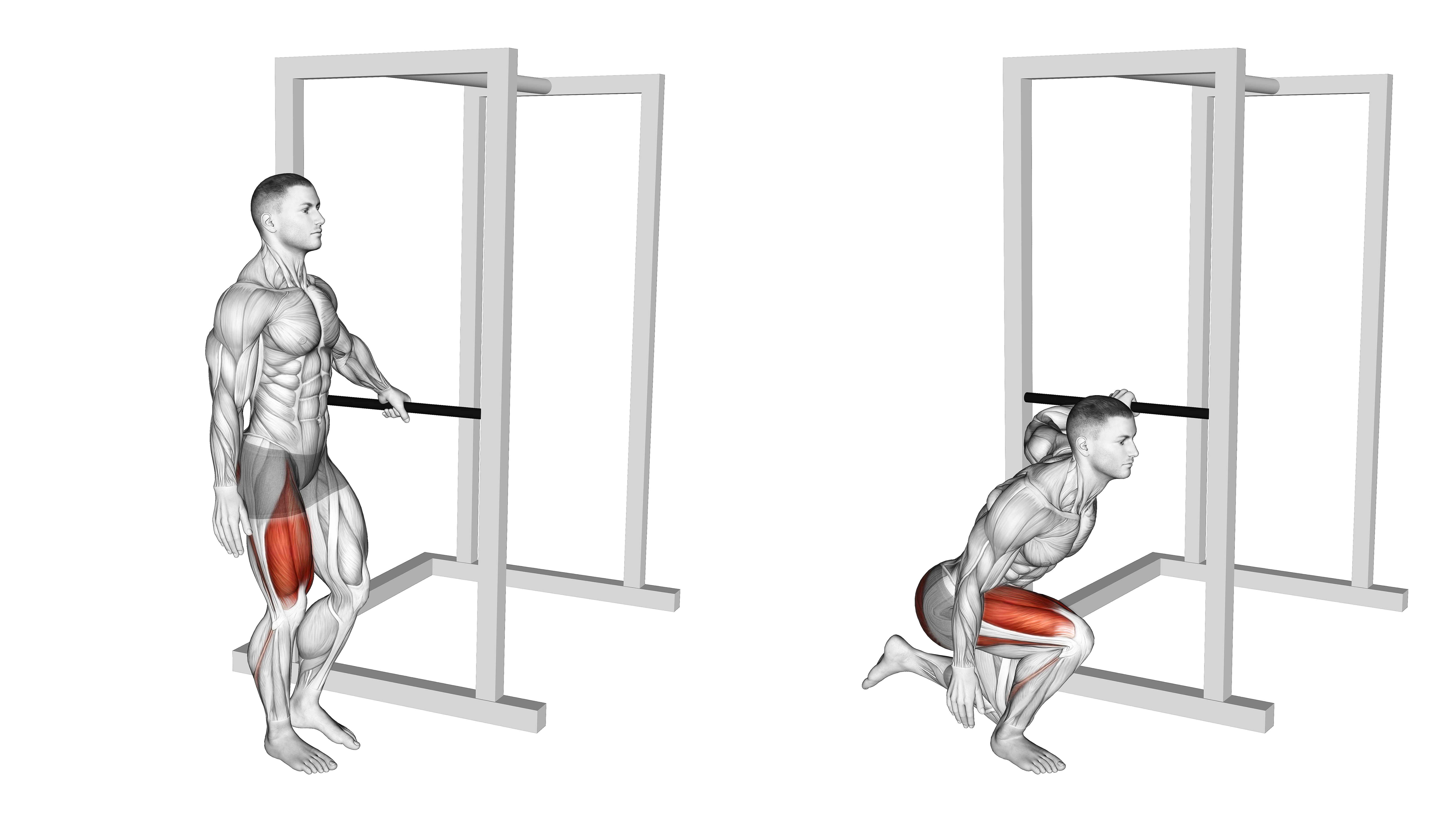 Bodyweight Single Leg Squat With Support