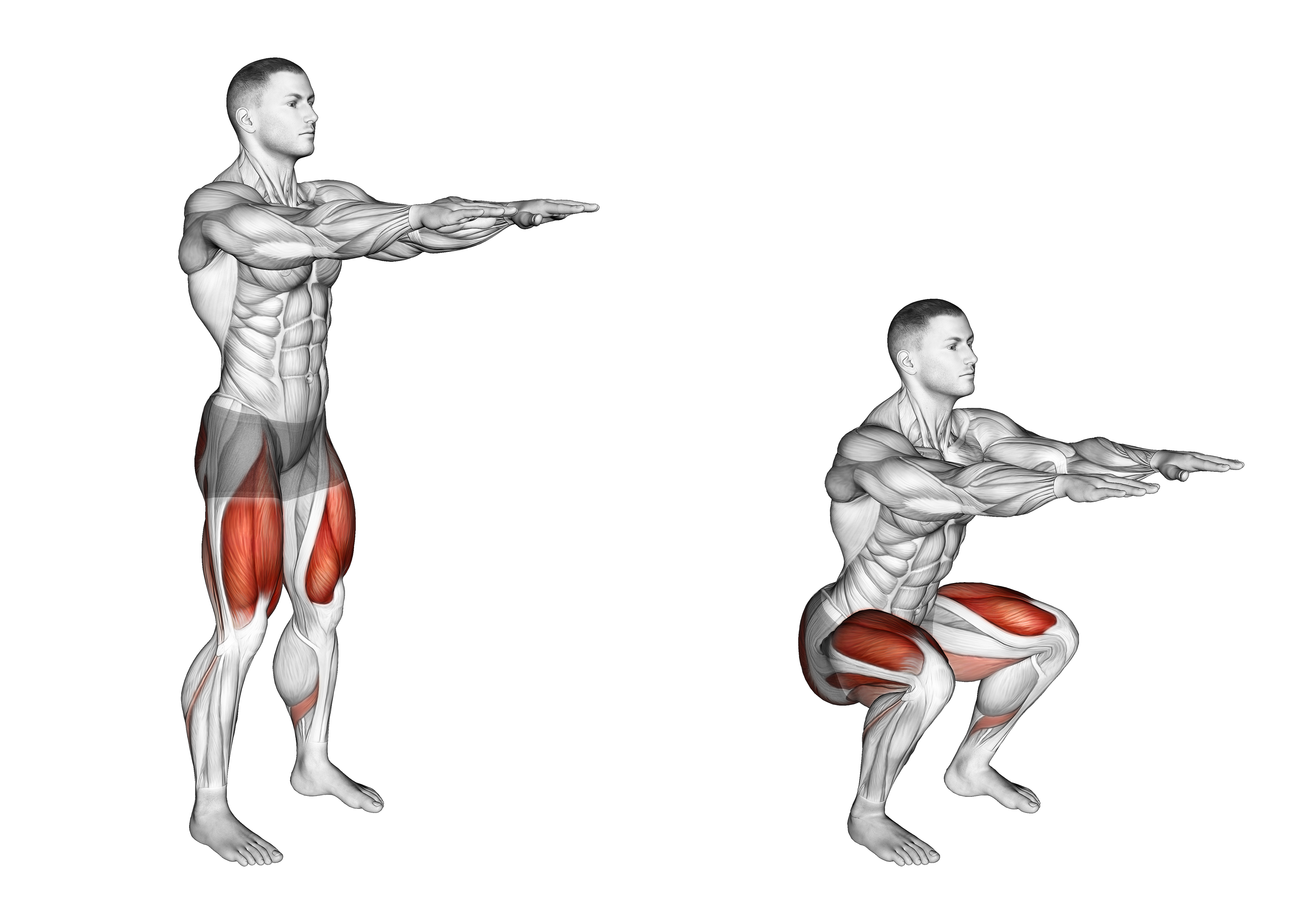 Bodyweight Slow To Explosive Squats