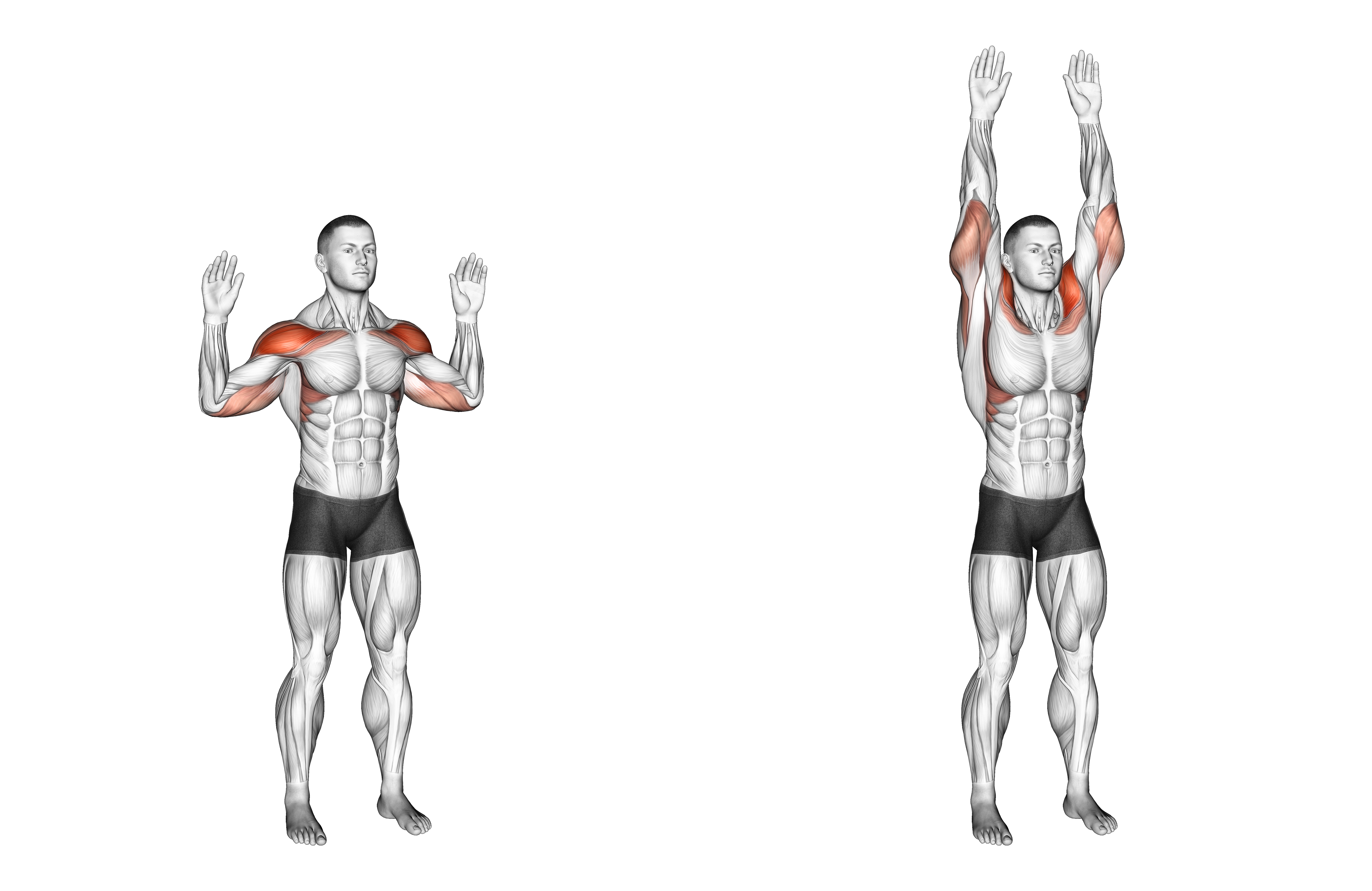 Bodyweight Standing Military Press