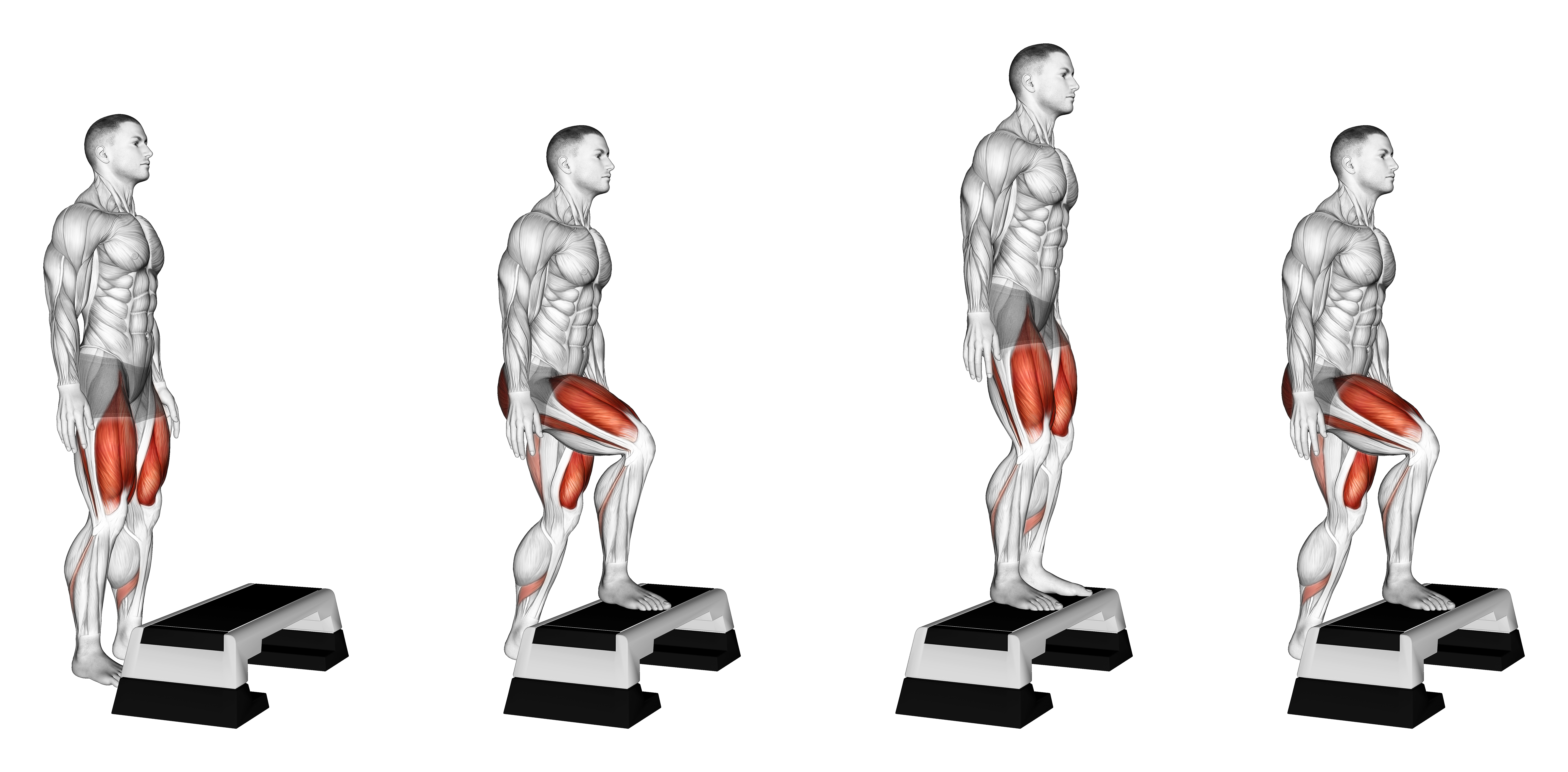 Bodyweight Step Up On Stepbox