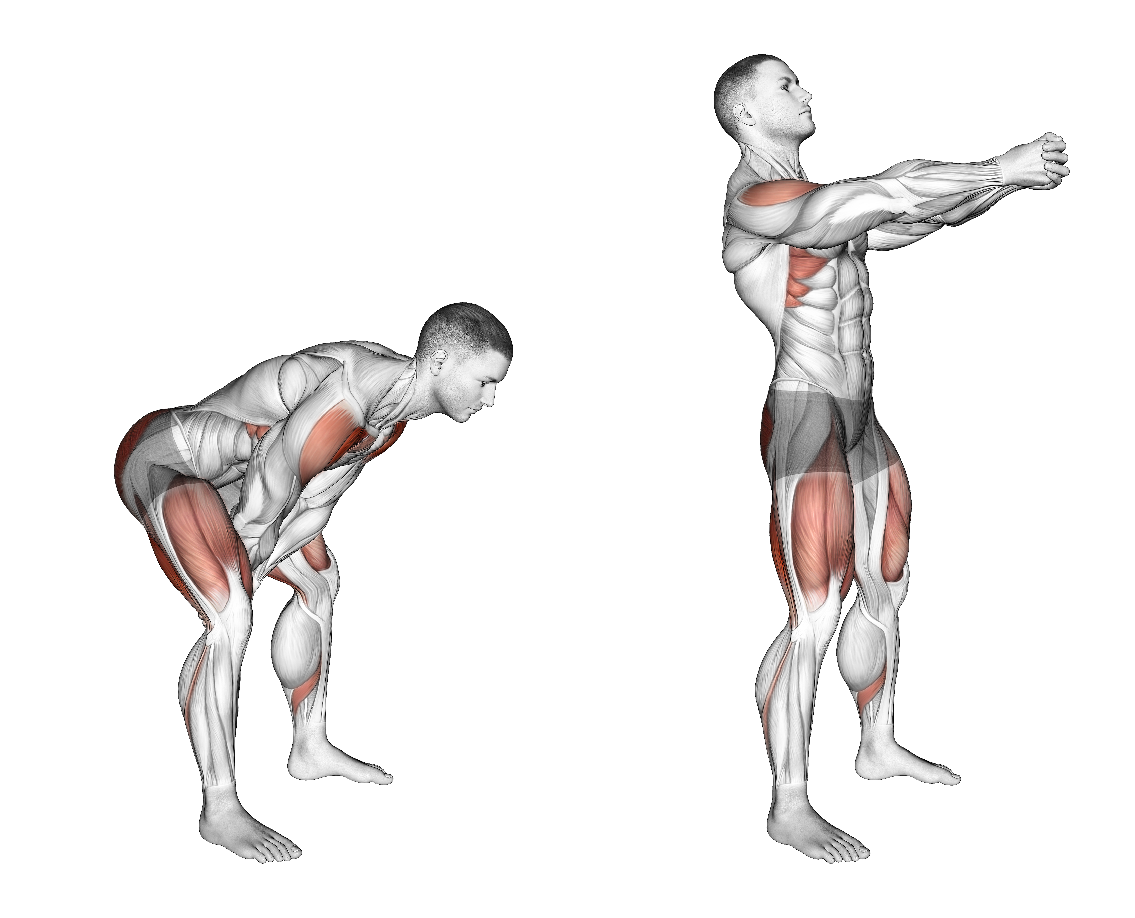 Bodyweight Swing