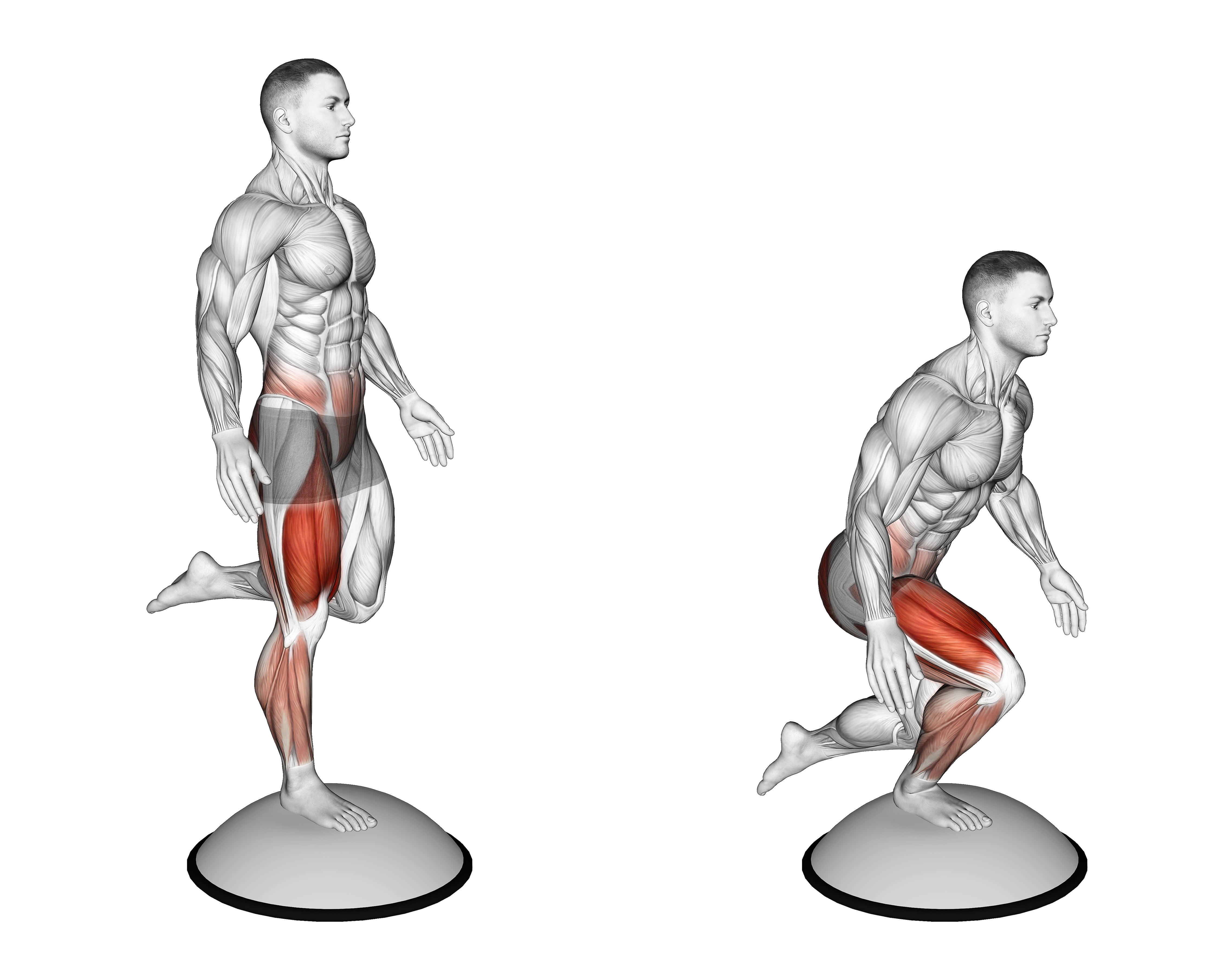 Bosu Ball Balance Counterbalanced Skater Squat