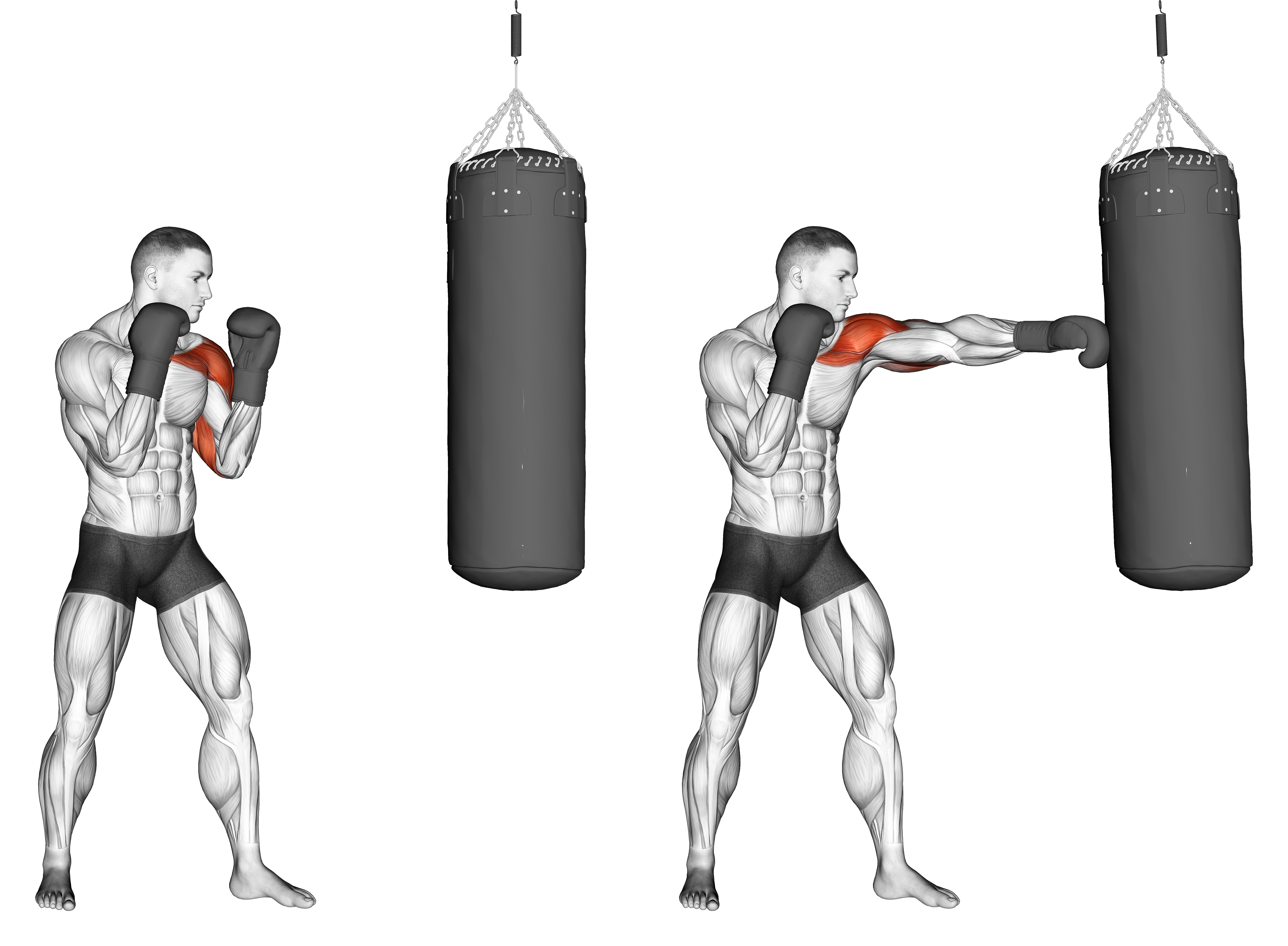 Boxing Jab With Boxing Bag 