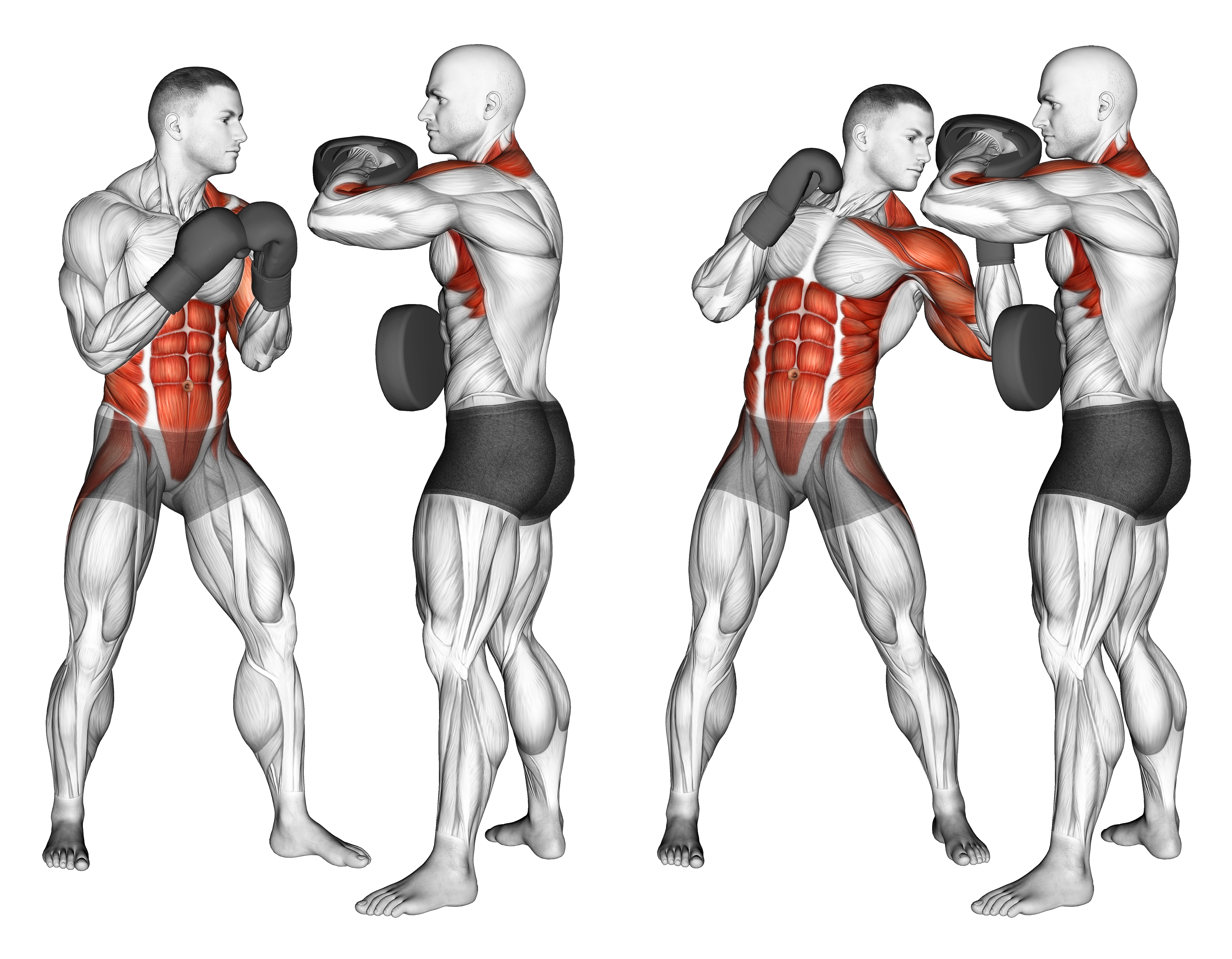 Boxing Left Uppercut (with Partner)