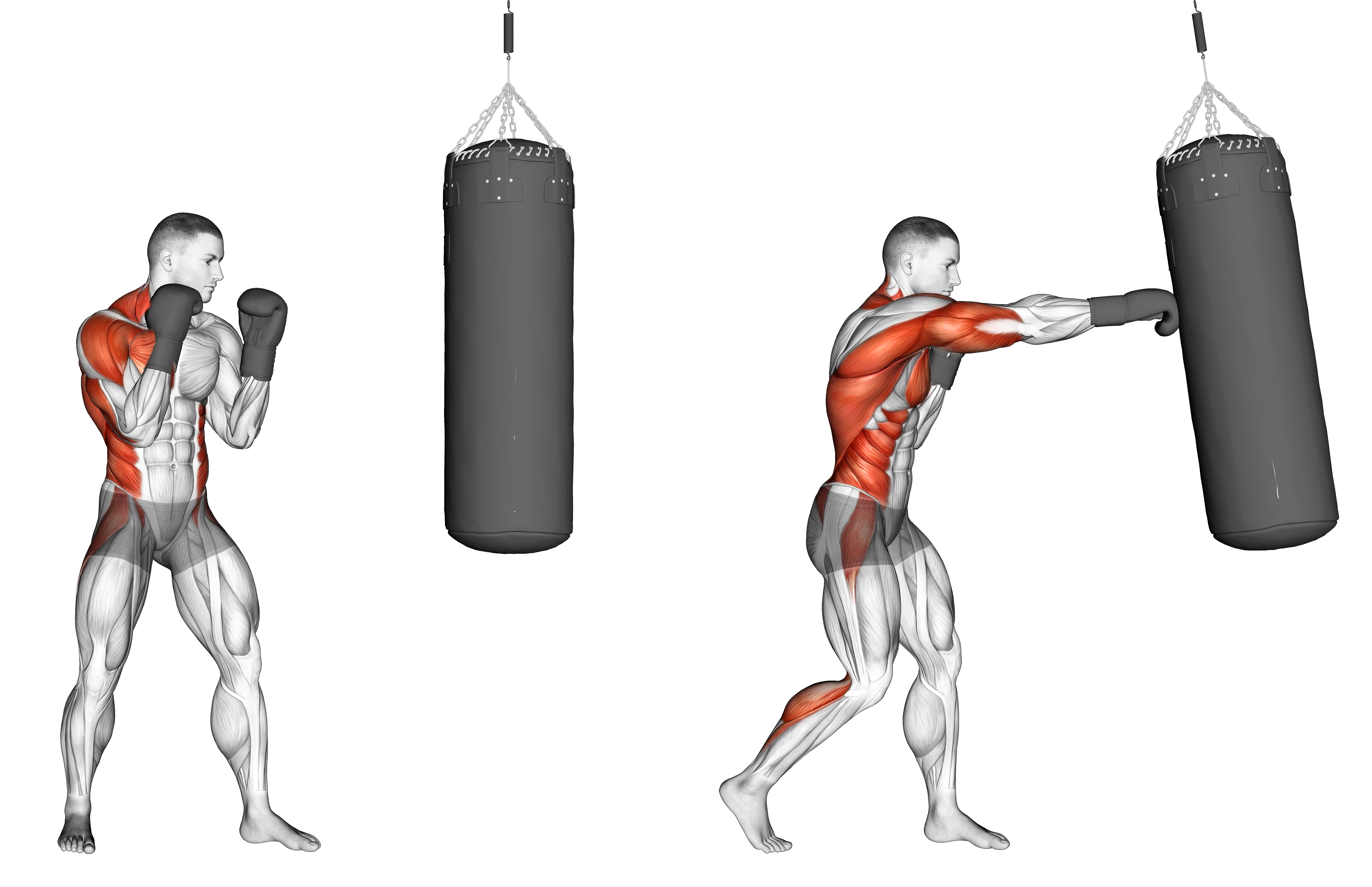 Boxing Right Cross (with Boxing Bag)