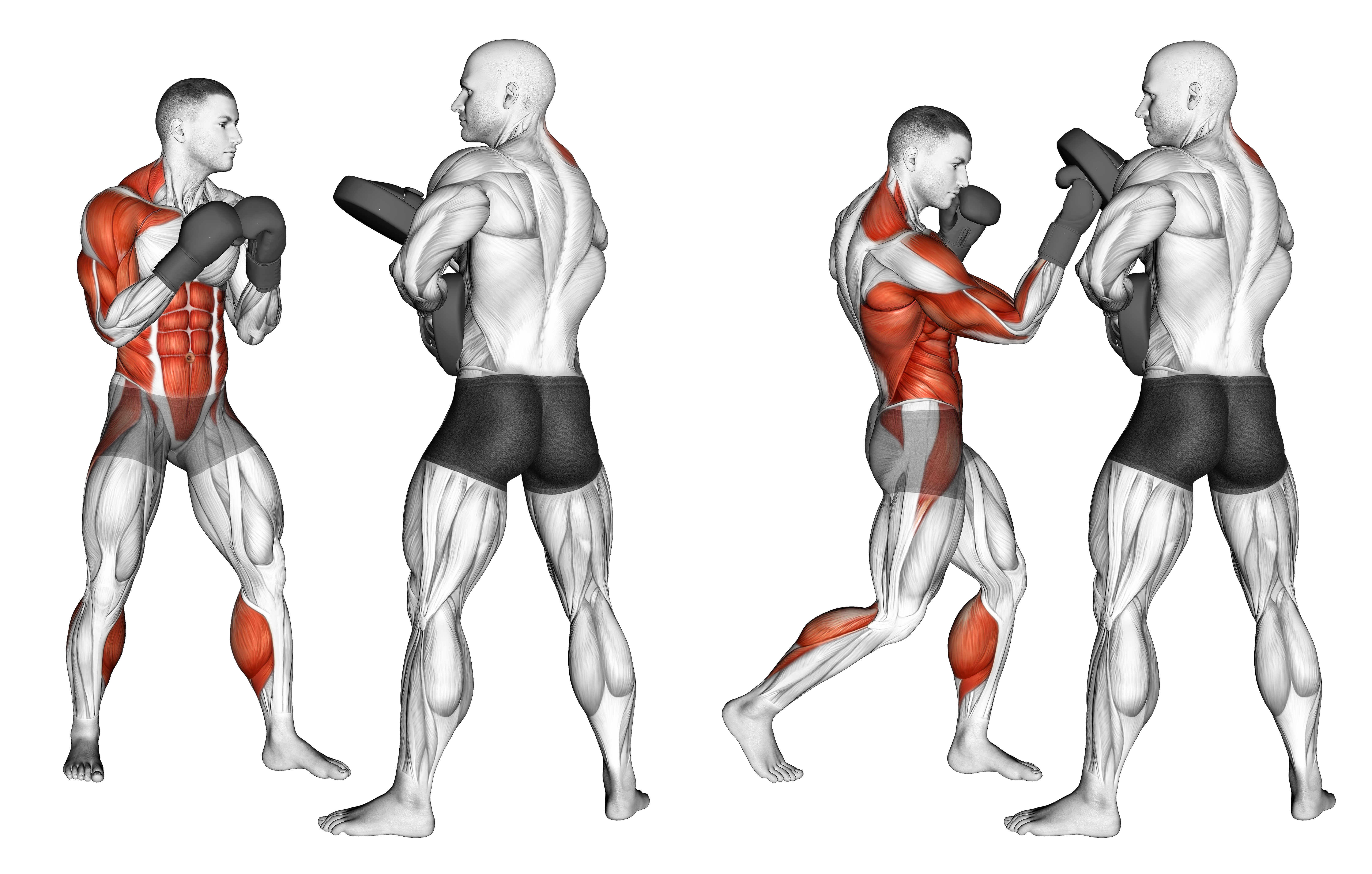 Boxing Right Uppercut (with Partner)