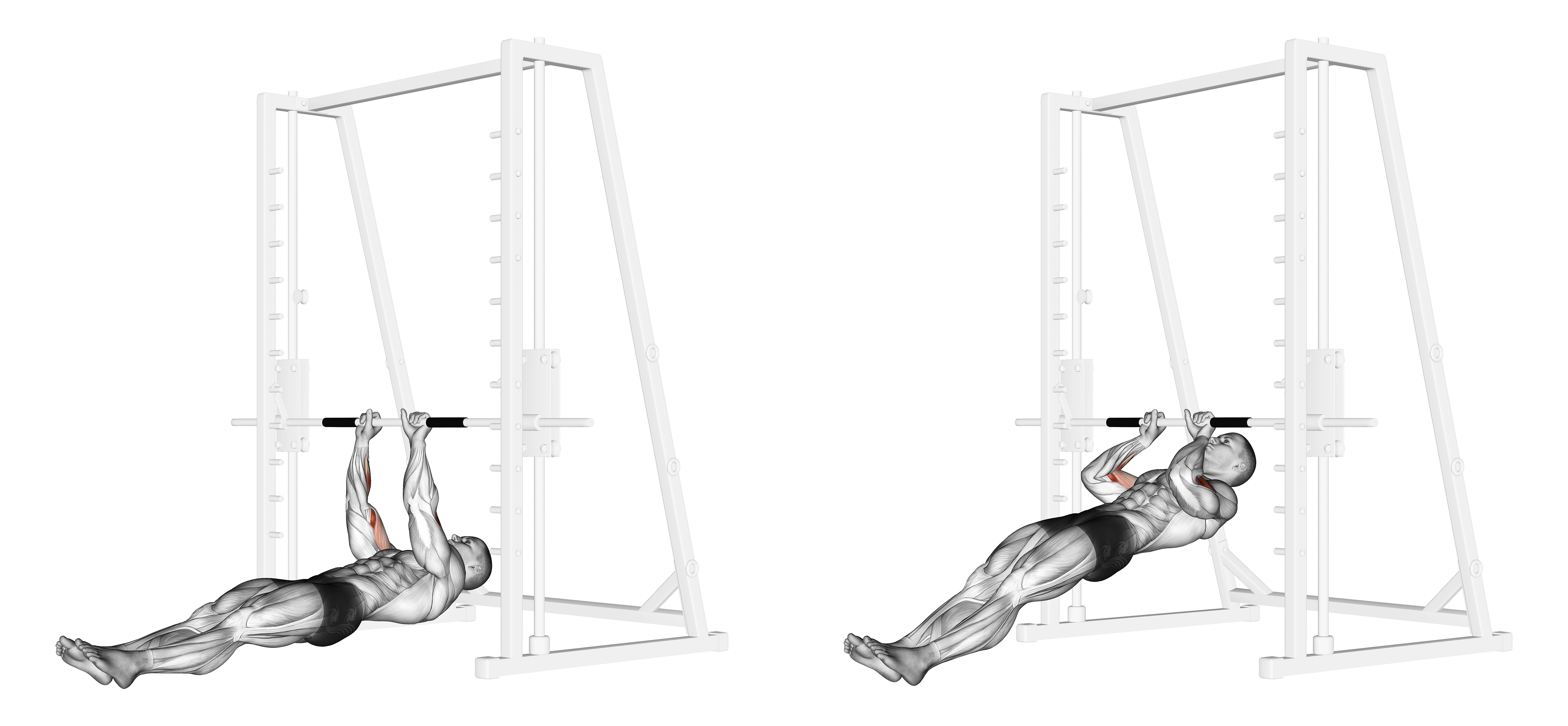 Brachialis Narrow Pull Ups