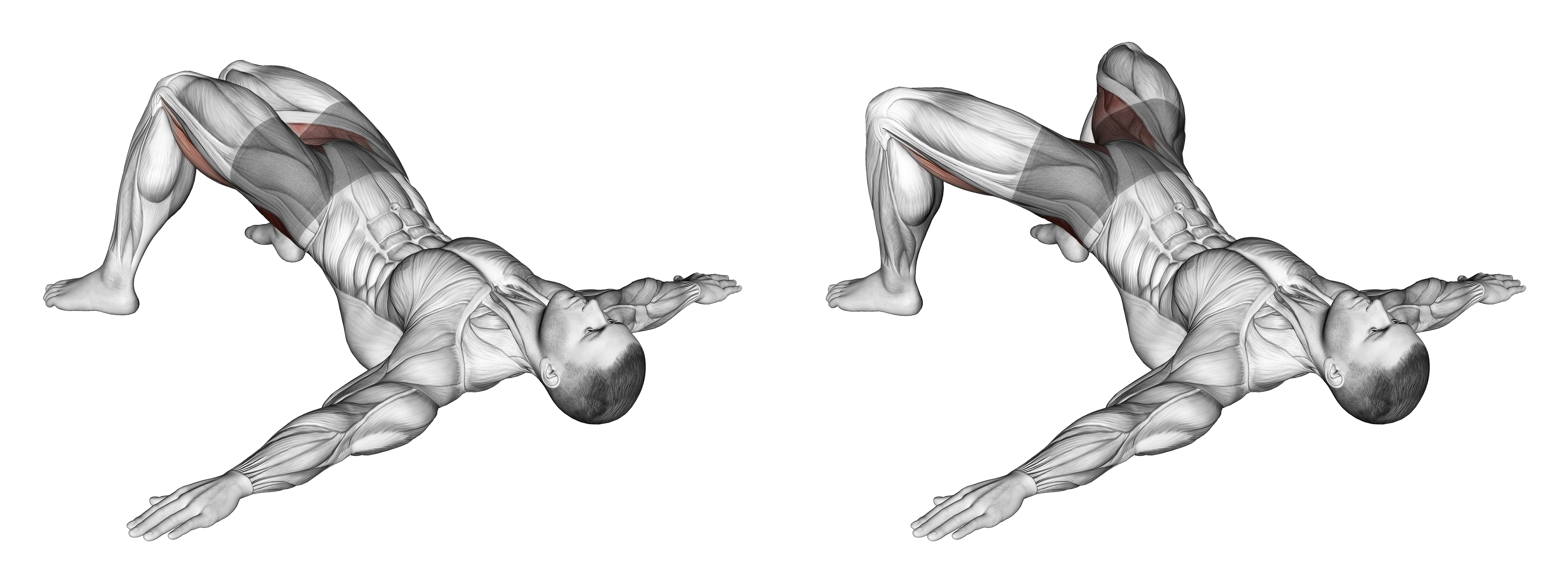 Bridge Hip Abduction