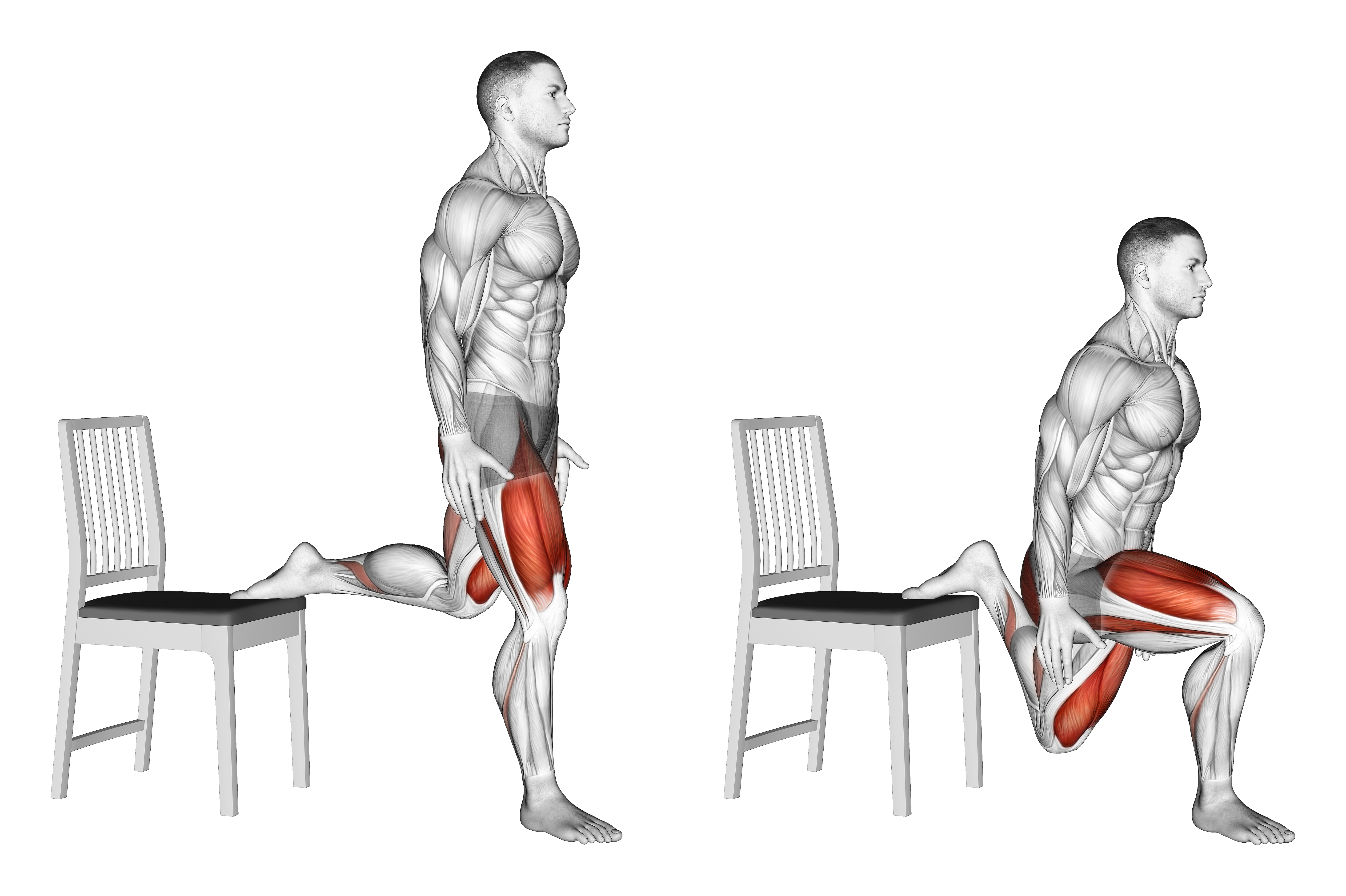 Bulgarian Split Squat With Chair