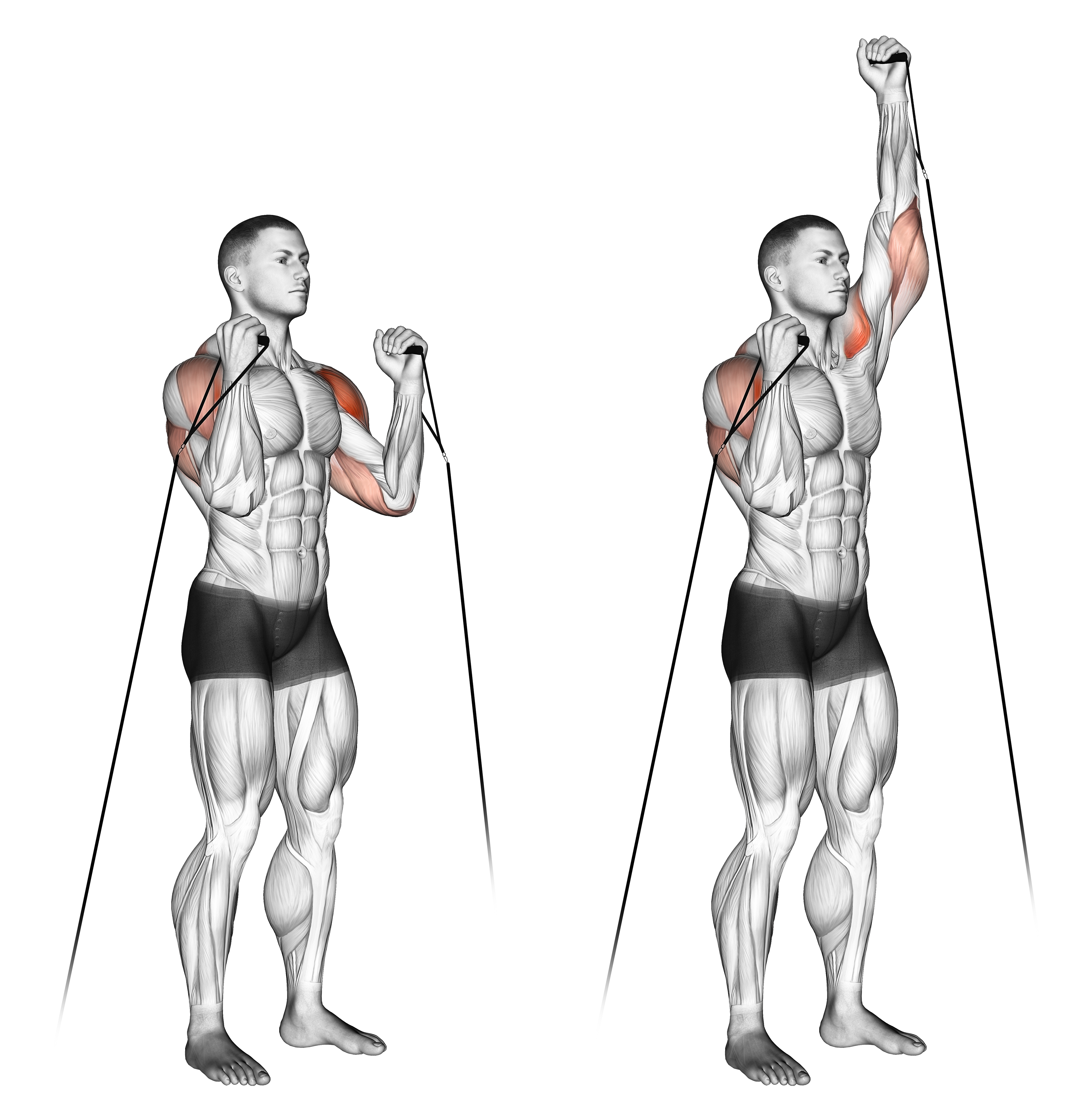 Cable Alternate Shoulder Press