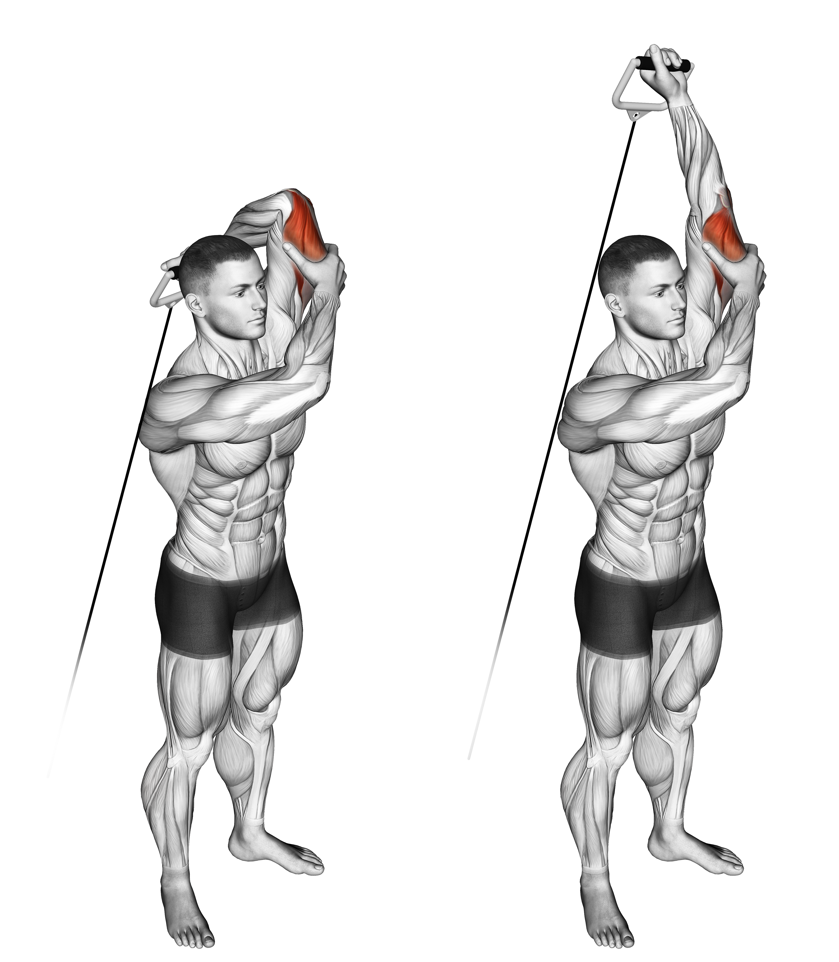 Cable Alternate Triceps Extension