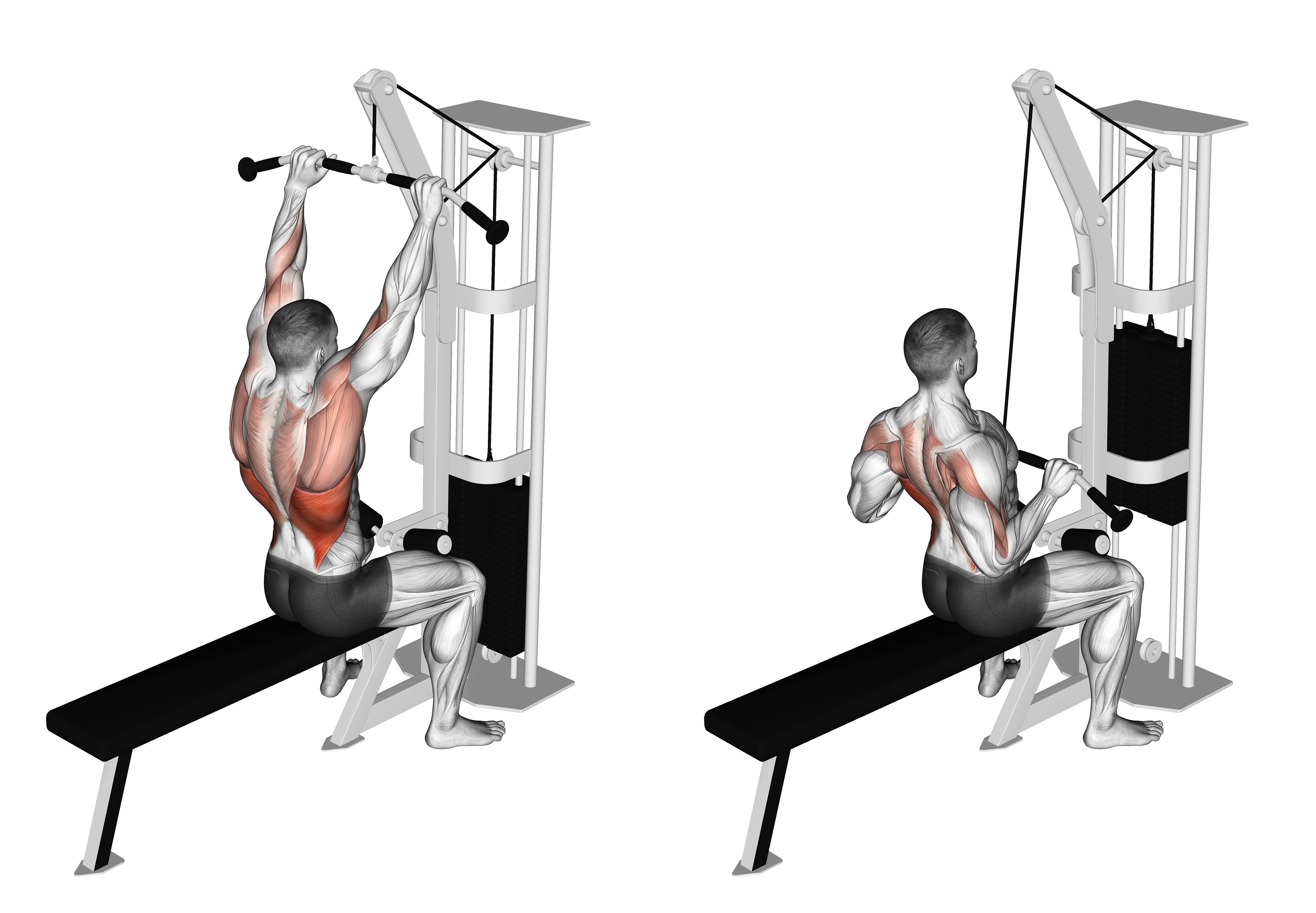 Cable Bar Lateral Pulldown