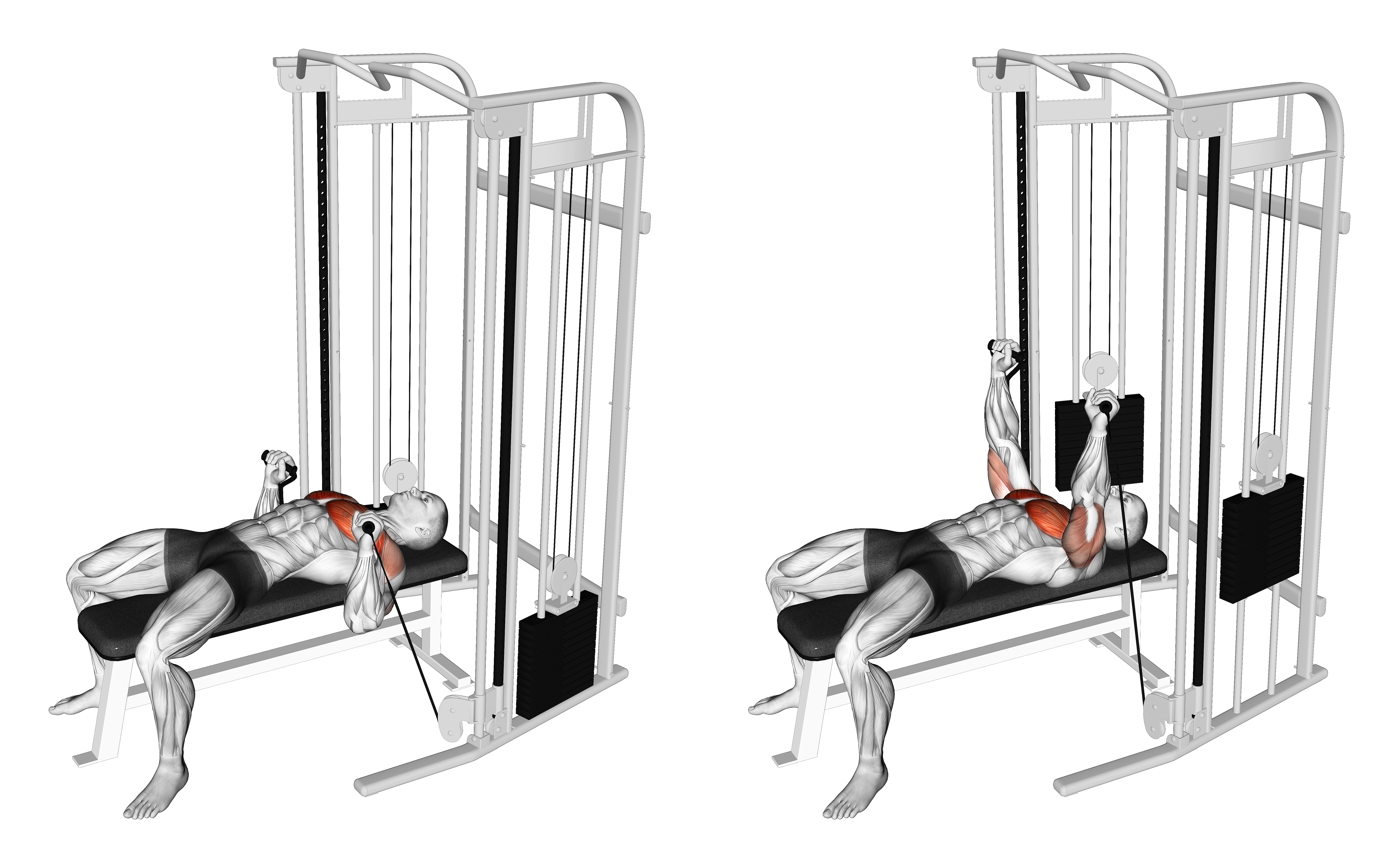 Cable Bench Press