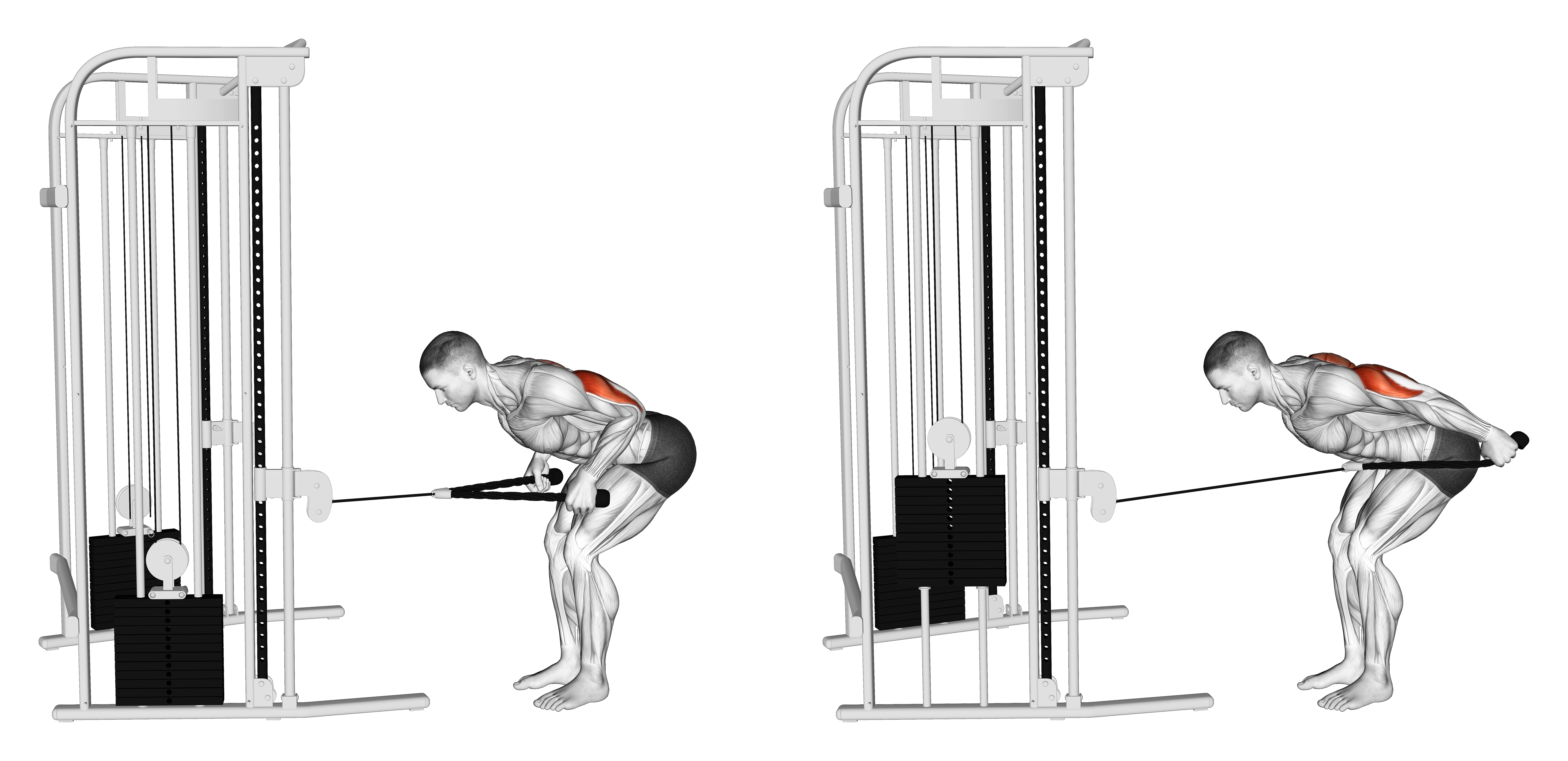 Cable Bent Over Neutral Grip Kickback With Rope Attachment
