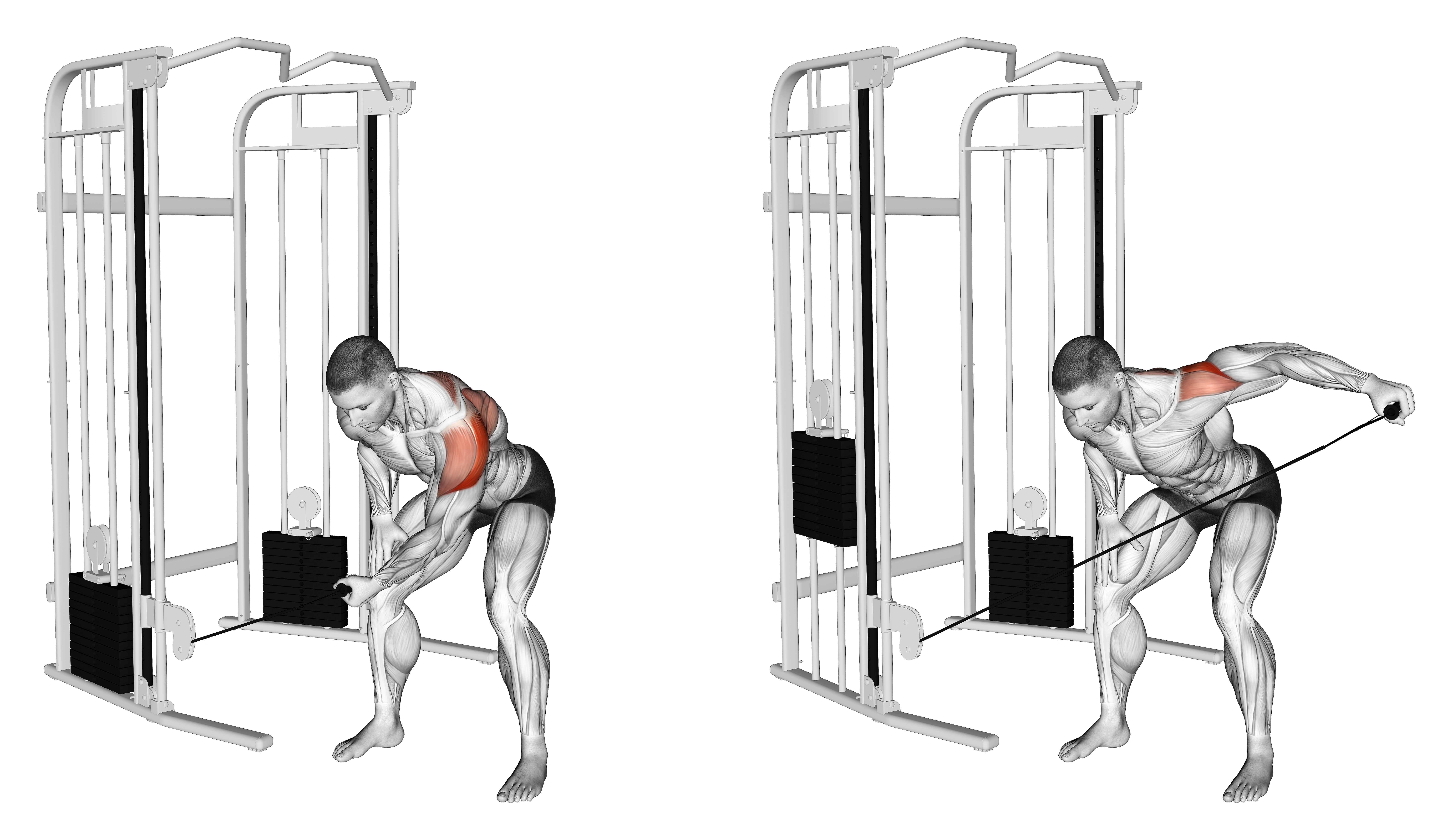Cable Bent Over One Arm Lateral Raise