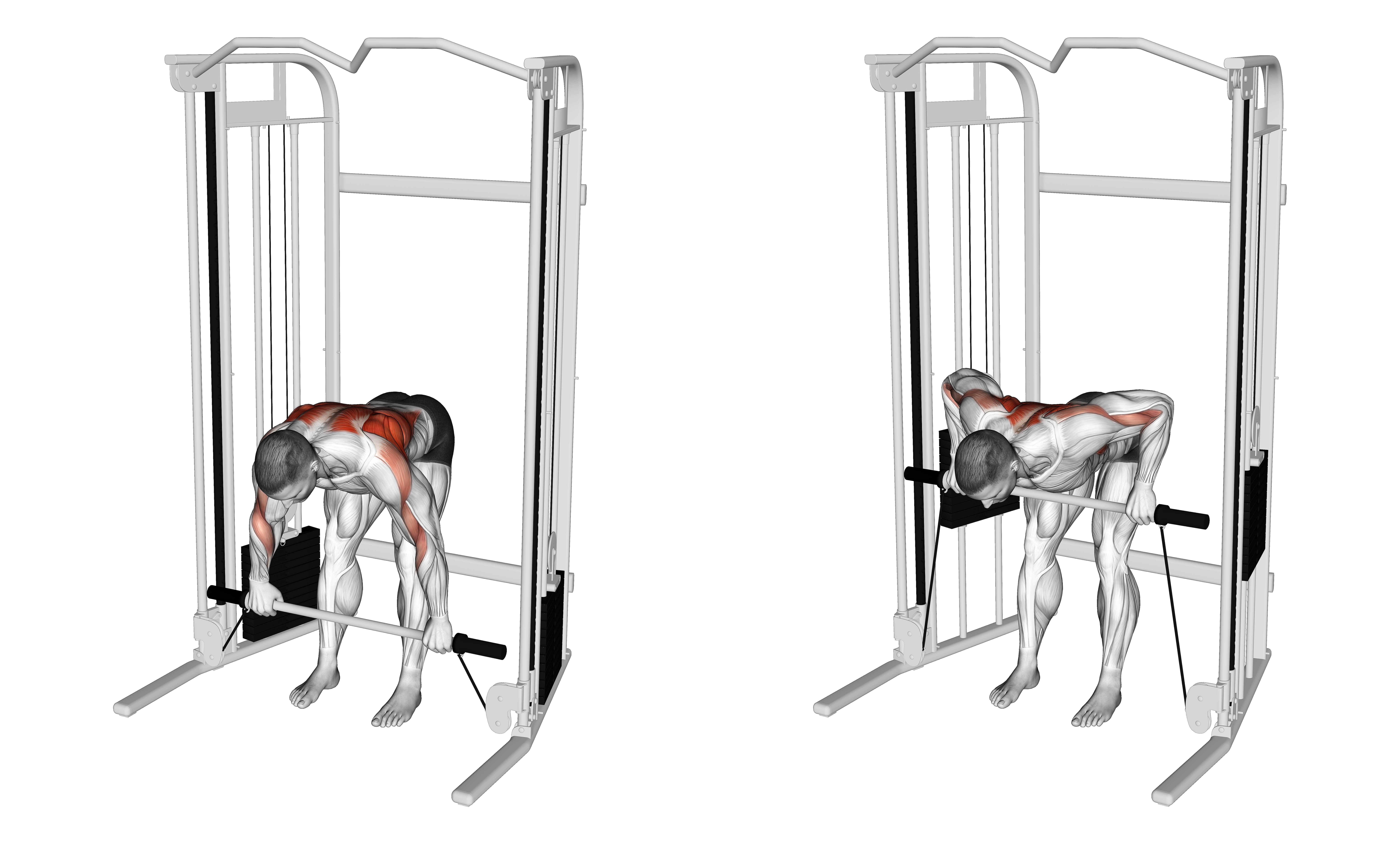 Cable Bent Over Row With Bar
