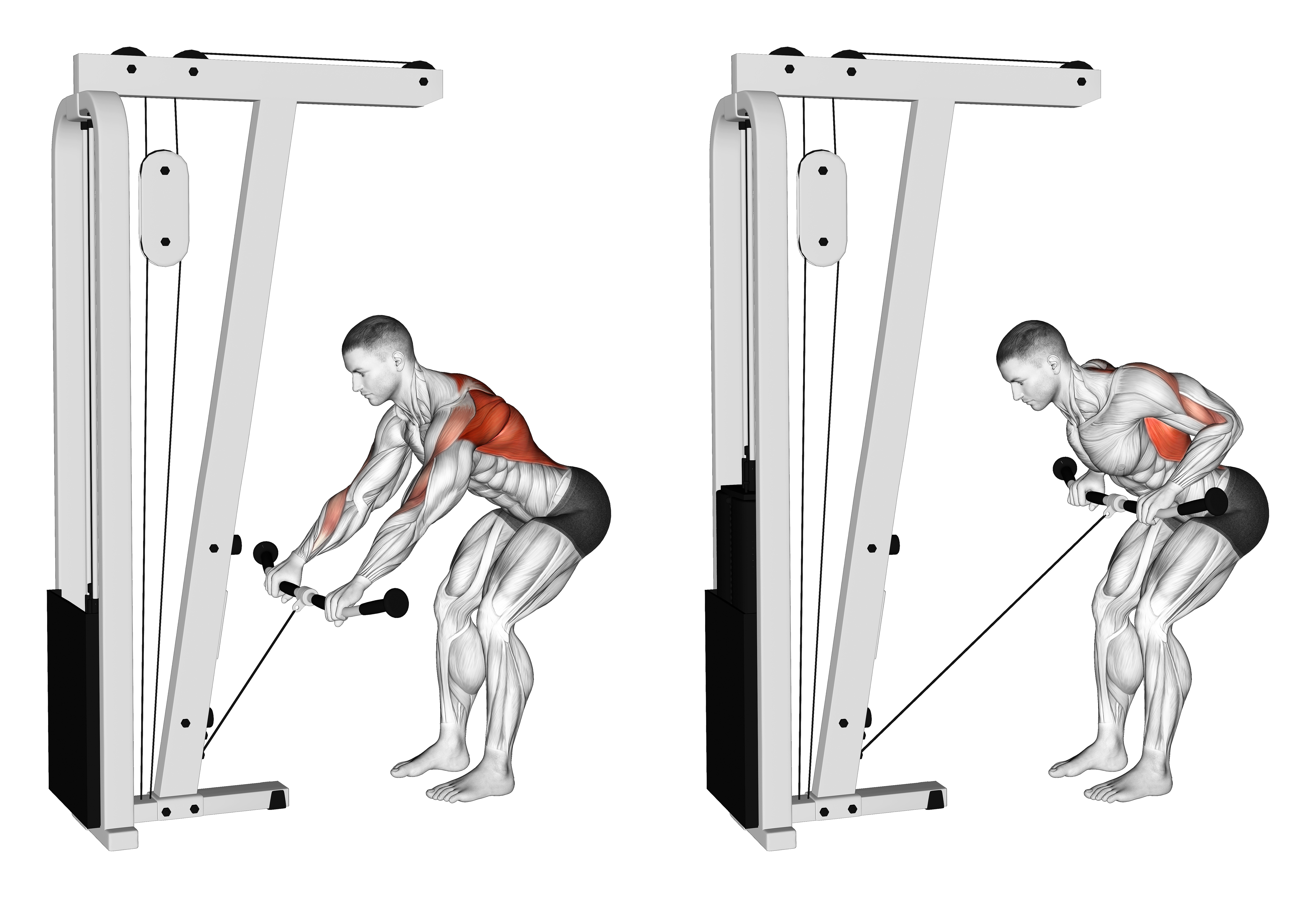 Cable Bent Over Row