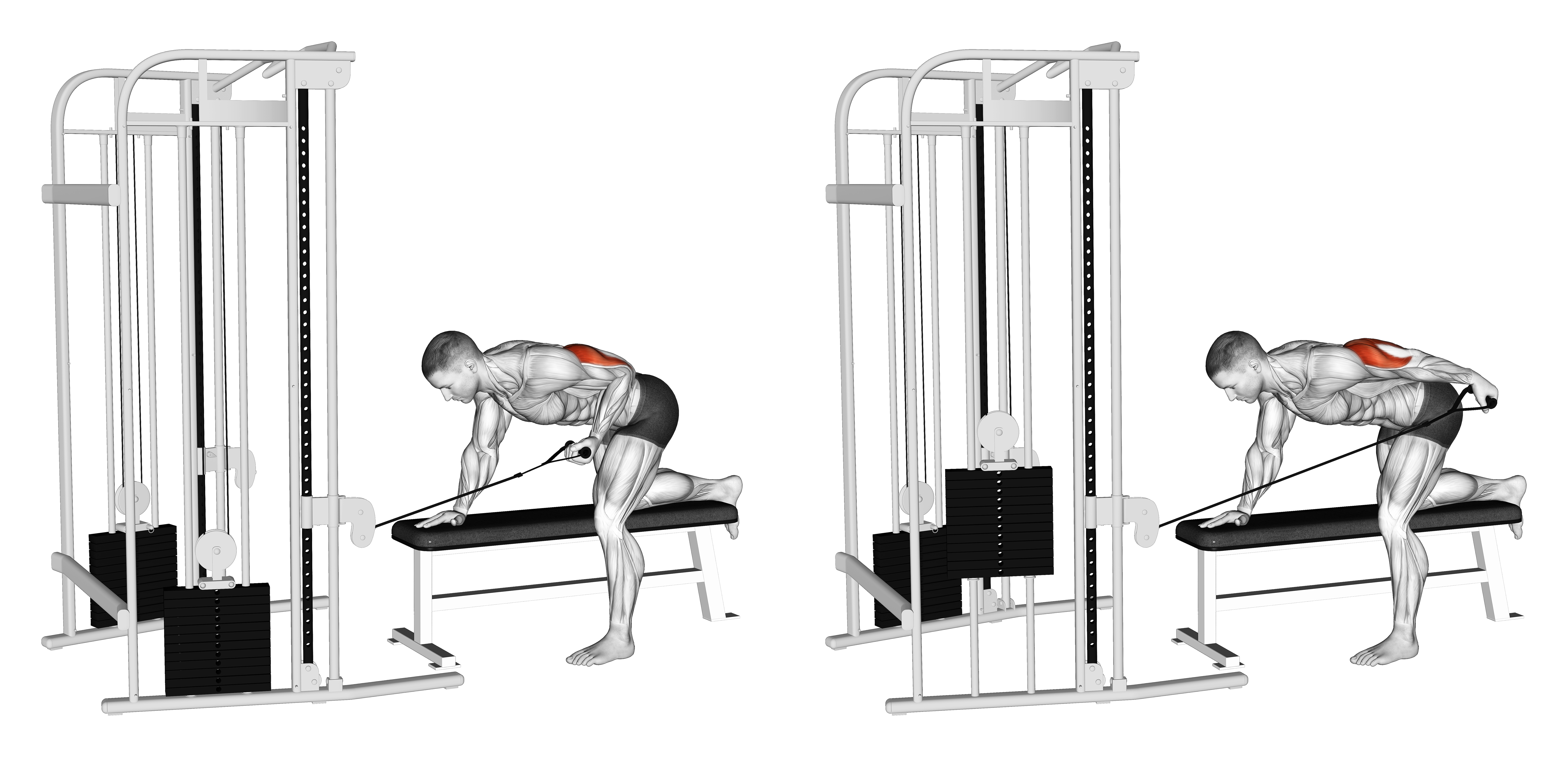 Cable Bent Over Single Arm Kickback